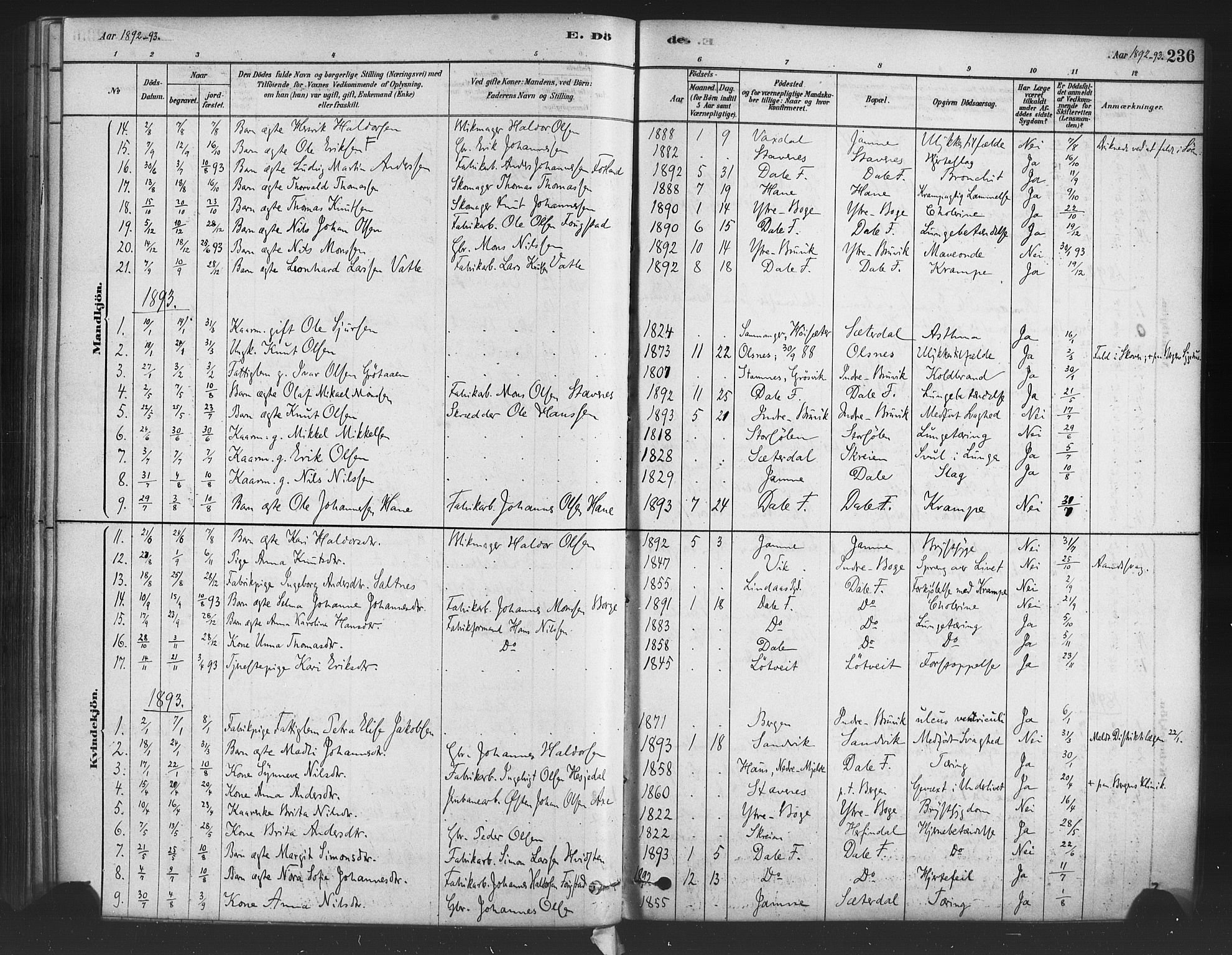 Bruvik Sokneprestembete, SAB/A-74701/H/Haa: Parish register (official) no. B 1, 1878-1904, p. 236