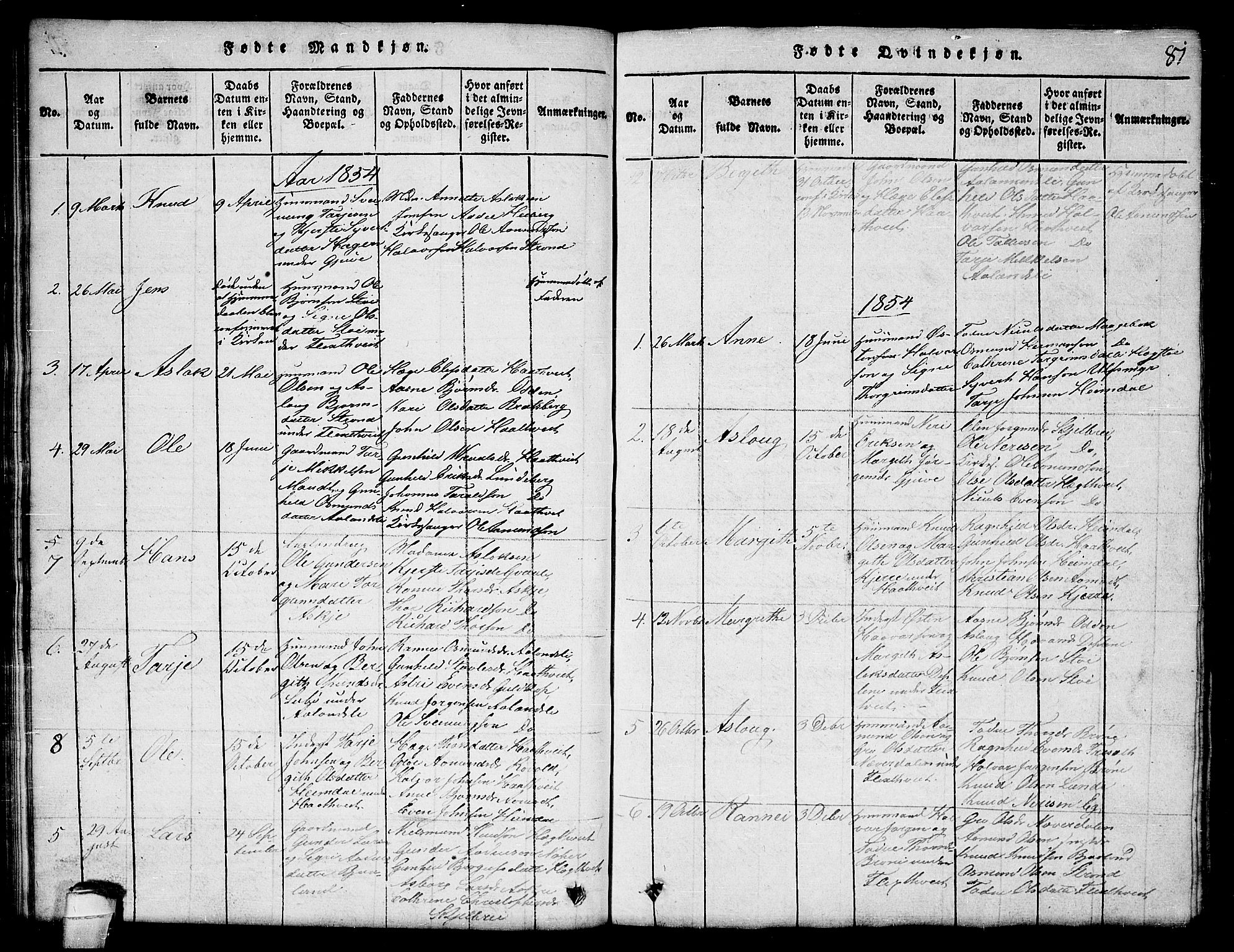 Lårdal kirkebøker, SAKO/A-284/G/Ga/L0001: Parish register (copy) no. I 1, 1815-1861, p. 81