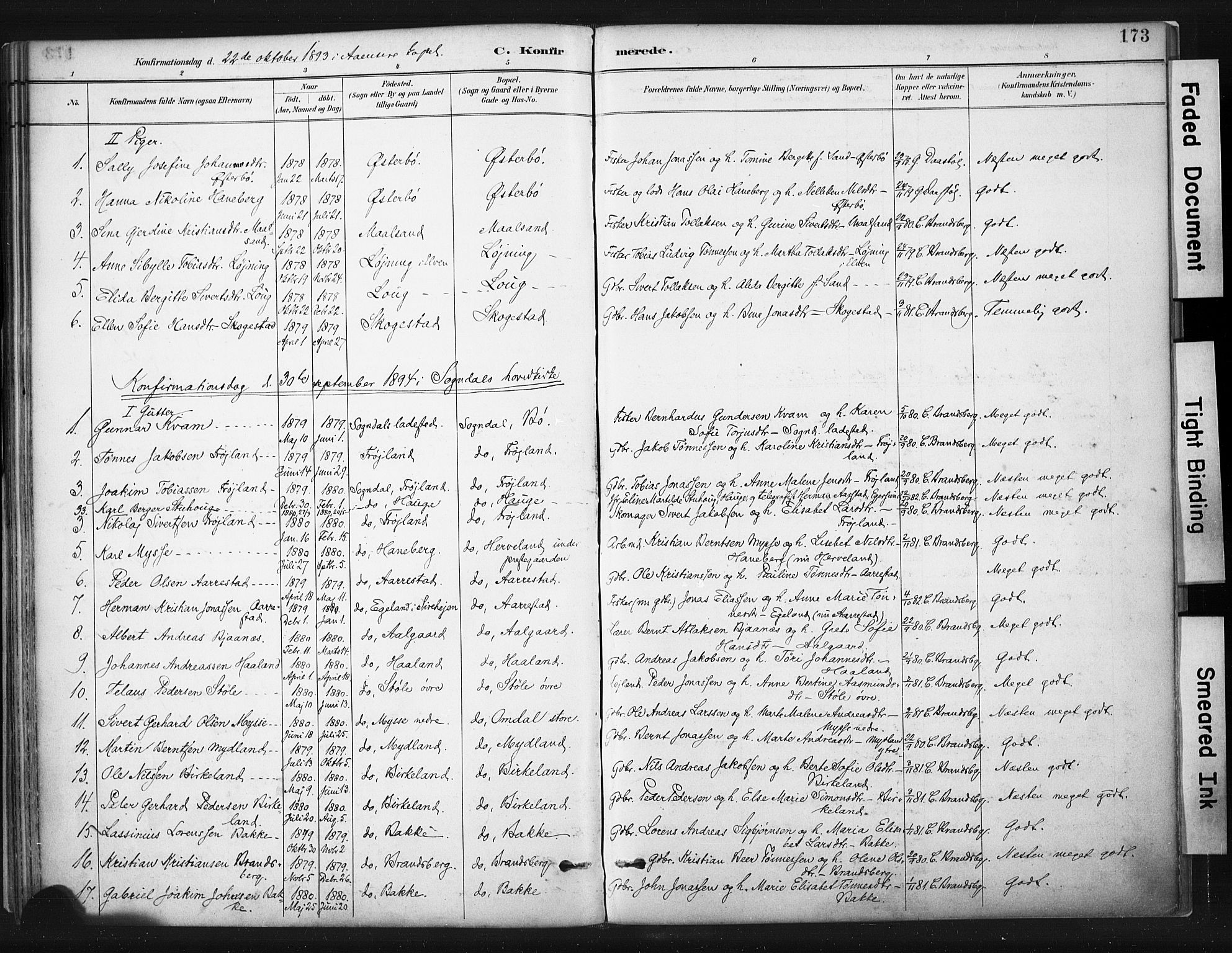 Sokndal sokneprestkontor, AV/SAST-A-101808: Parish register (official) no. A 11.1, 1887-1905, p. 173