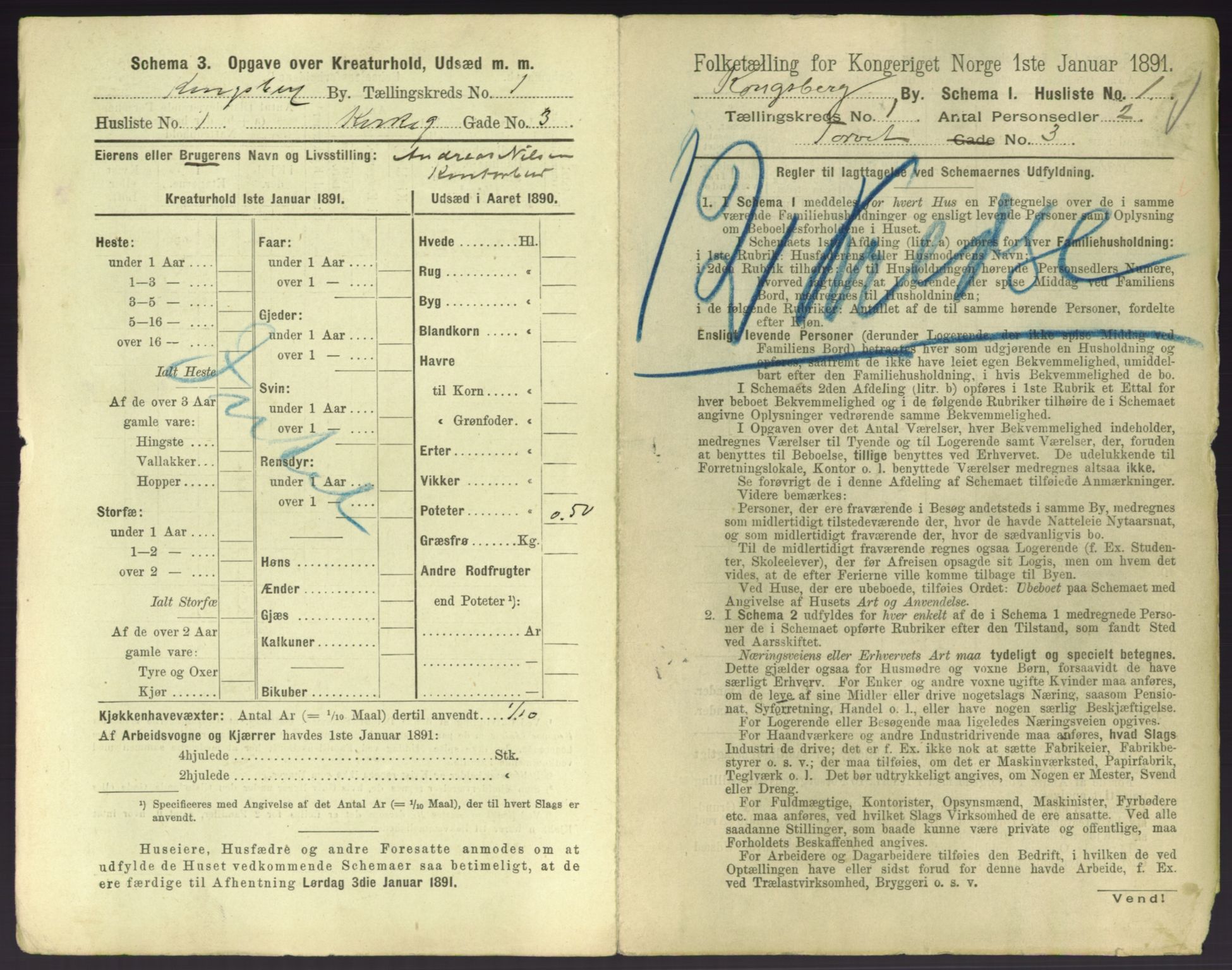 RA, 1891 census for 0604 Kongsberg, 1891, p. 29