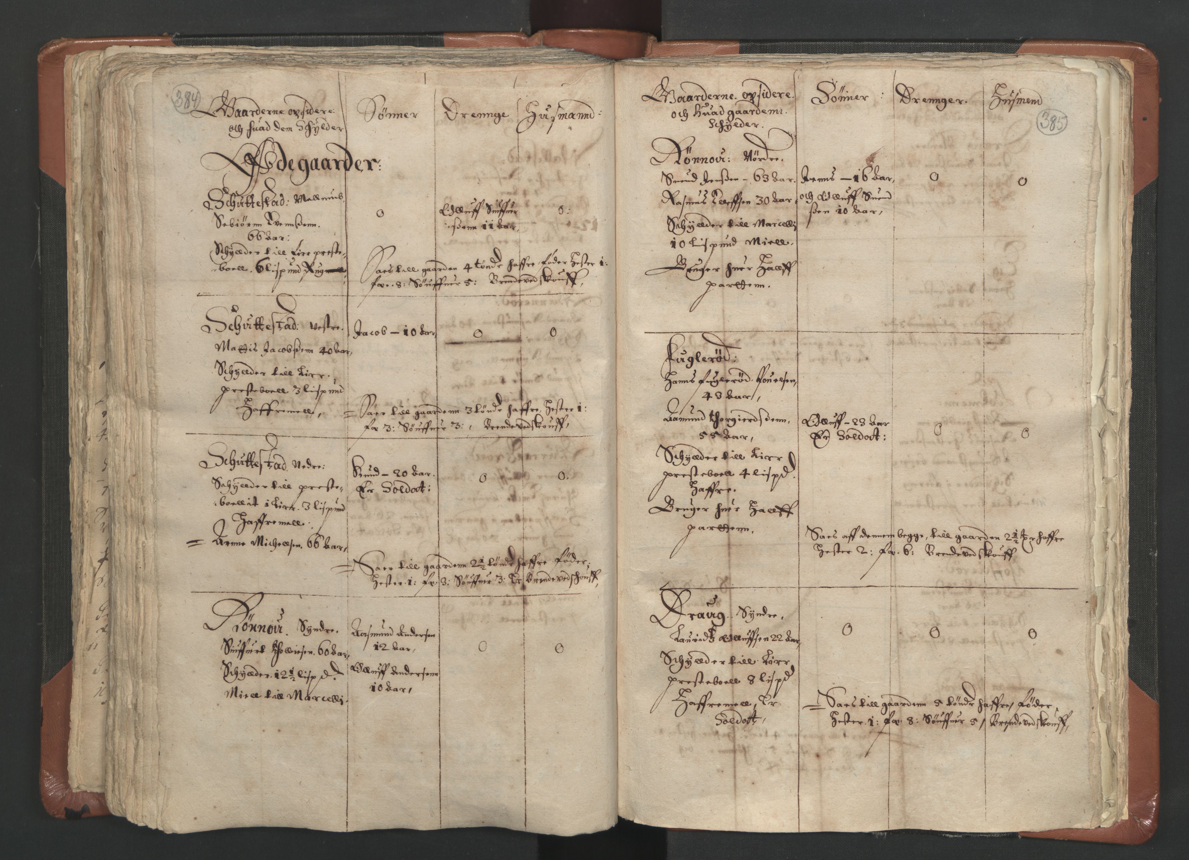 RA, Vicar's Census 1664-1666, no. 9: Bragernes deanery, 1664-1666, p. 384-385