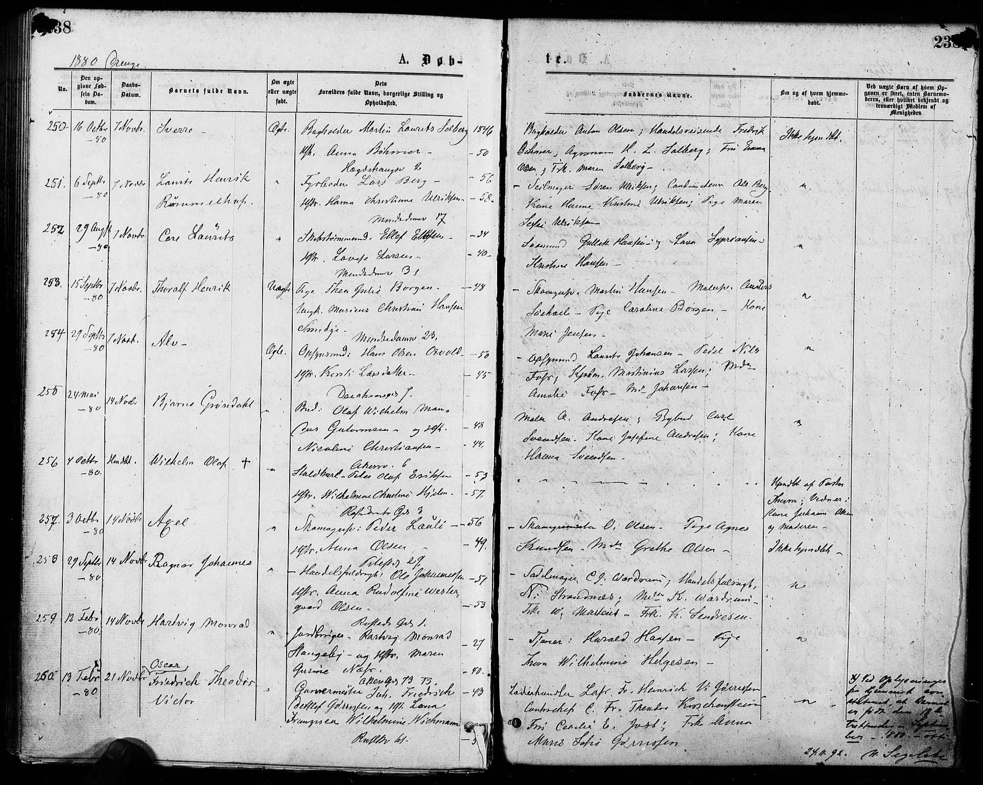 Trefoldighet prestekontor Kirkebøker, SAO/A-10882/F/Fa/L0004: Parish register (official) no. I 4, 1876-1880, p. 238