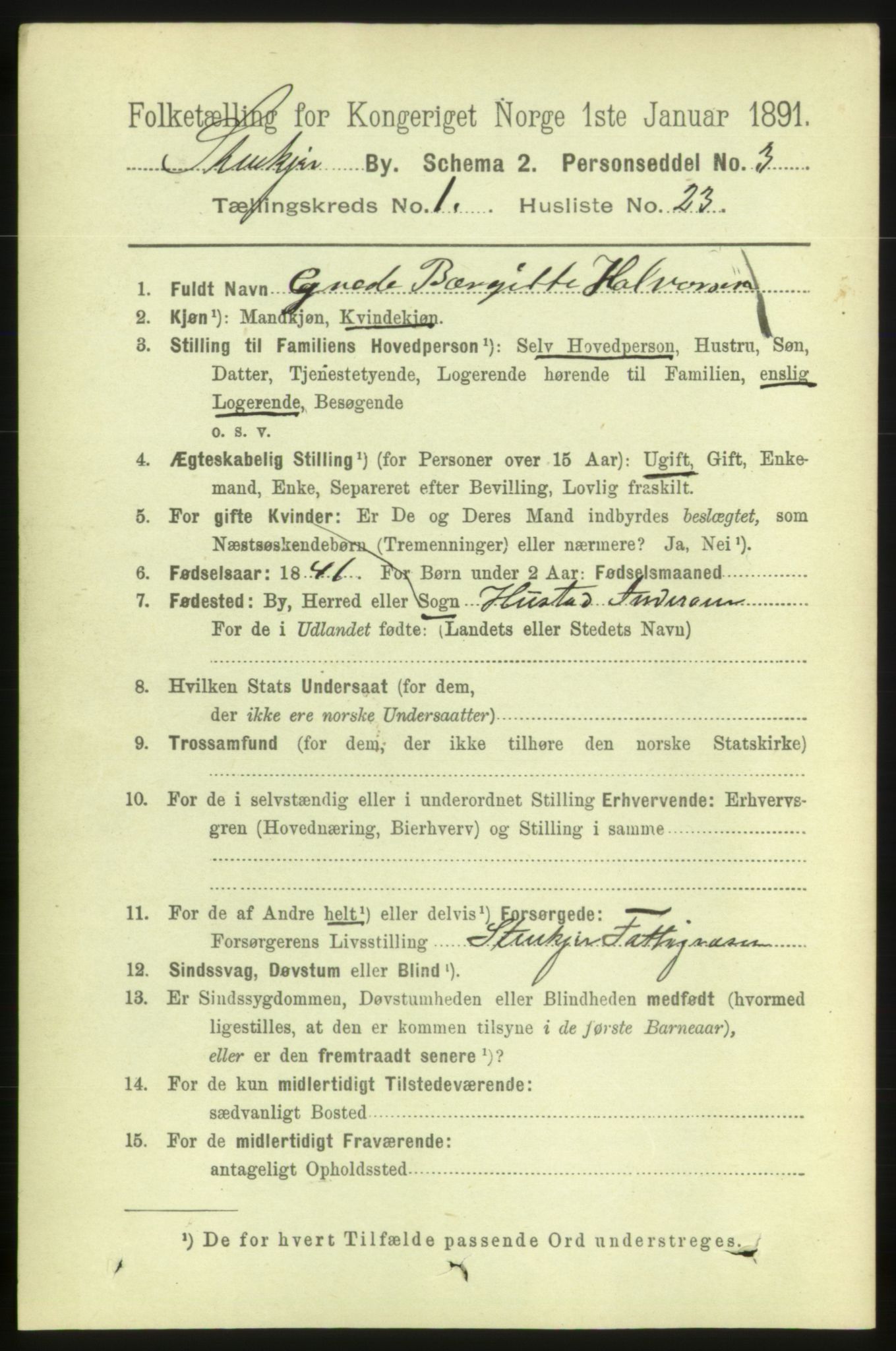 RA, 1891 census for 1702 Steinkjer, 1891, p. 252