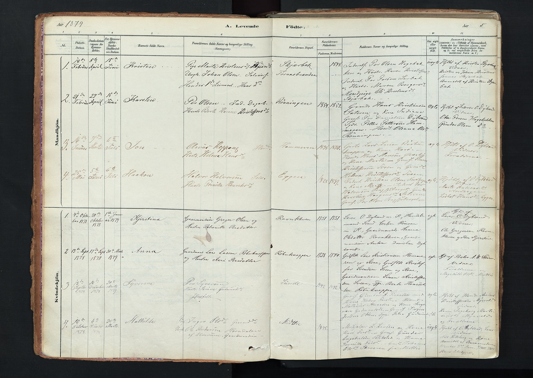 Trysil prestekontor, AV/SAH-PREST-046/H/Ha/Haa/L0011: Parish register (official) no. 11, 1878-1912, p. 5