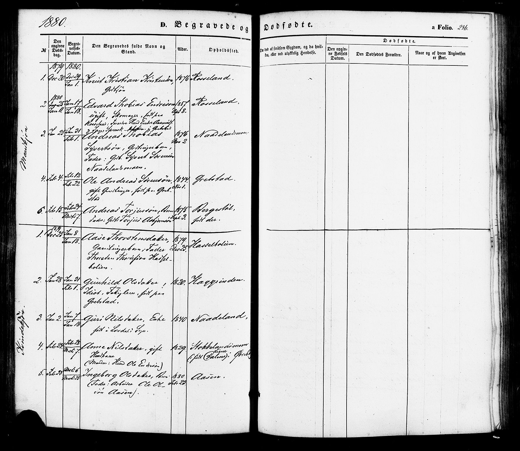Søgne sokneprestkontor, SAK/1111-0037/F/Fa/Faa/L0002: Parish register (official) no. A 2, 1854-1882, p. 236