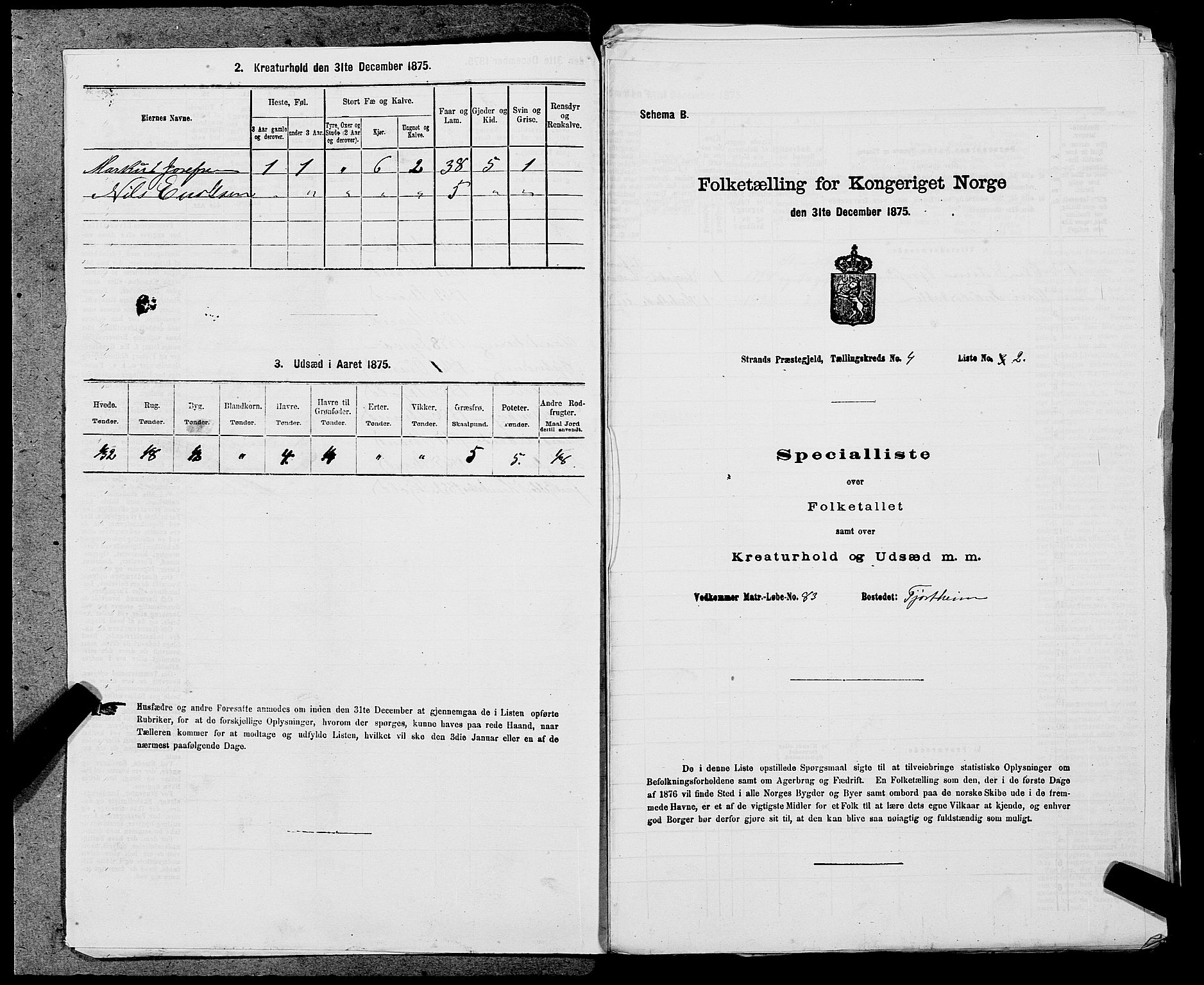 SAST, 1875 census for 1130P Strand, 1875, p. 340