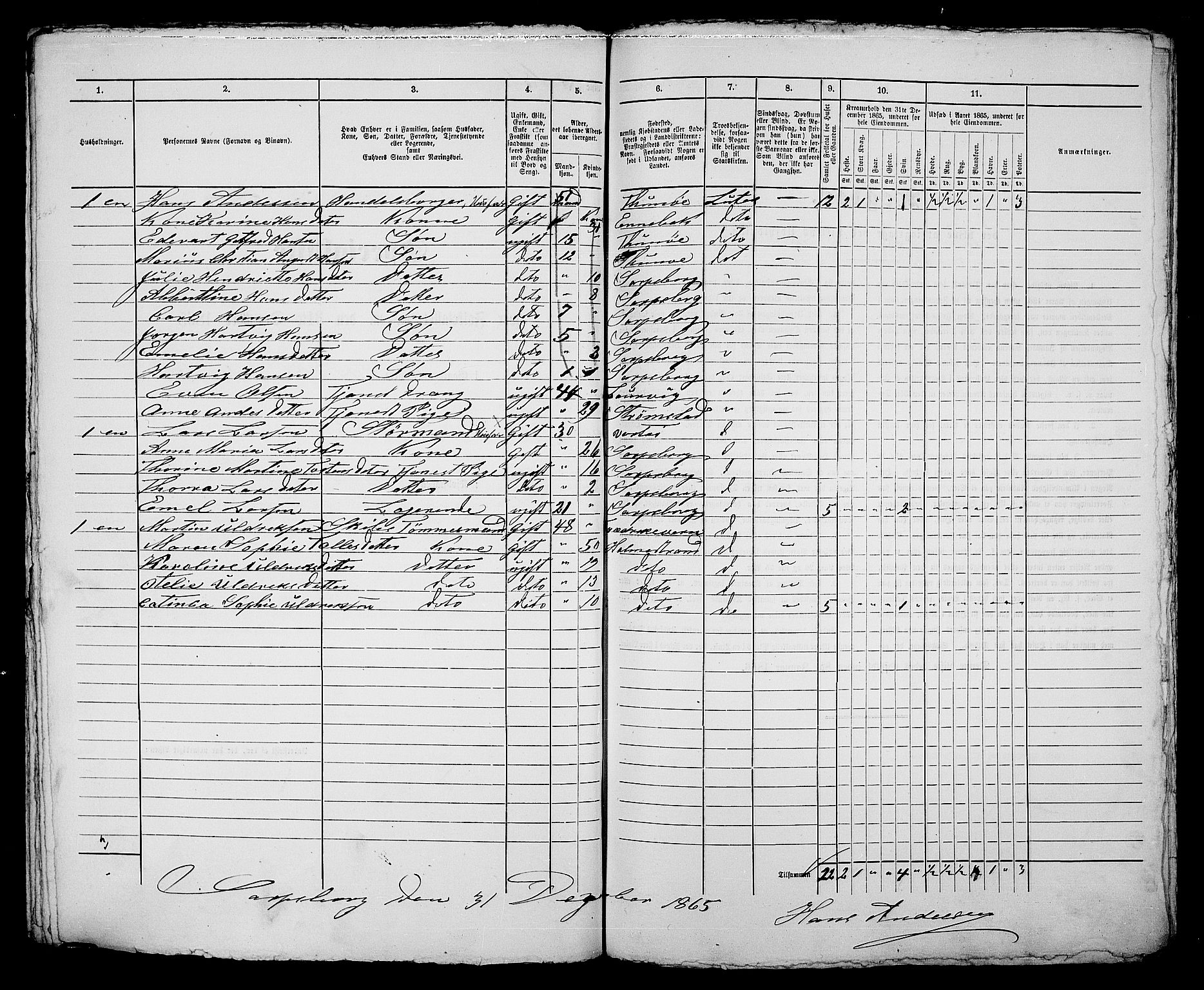 RA, 1865 census for Sarpsborg, 1865, p. 334