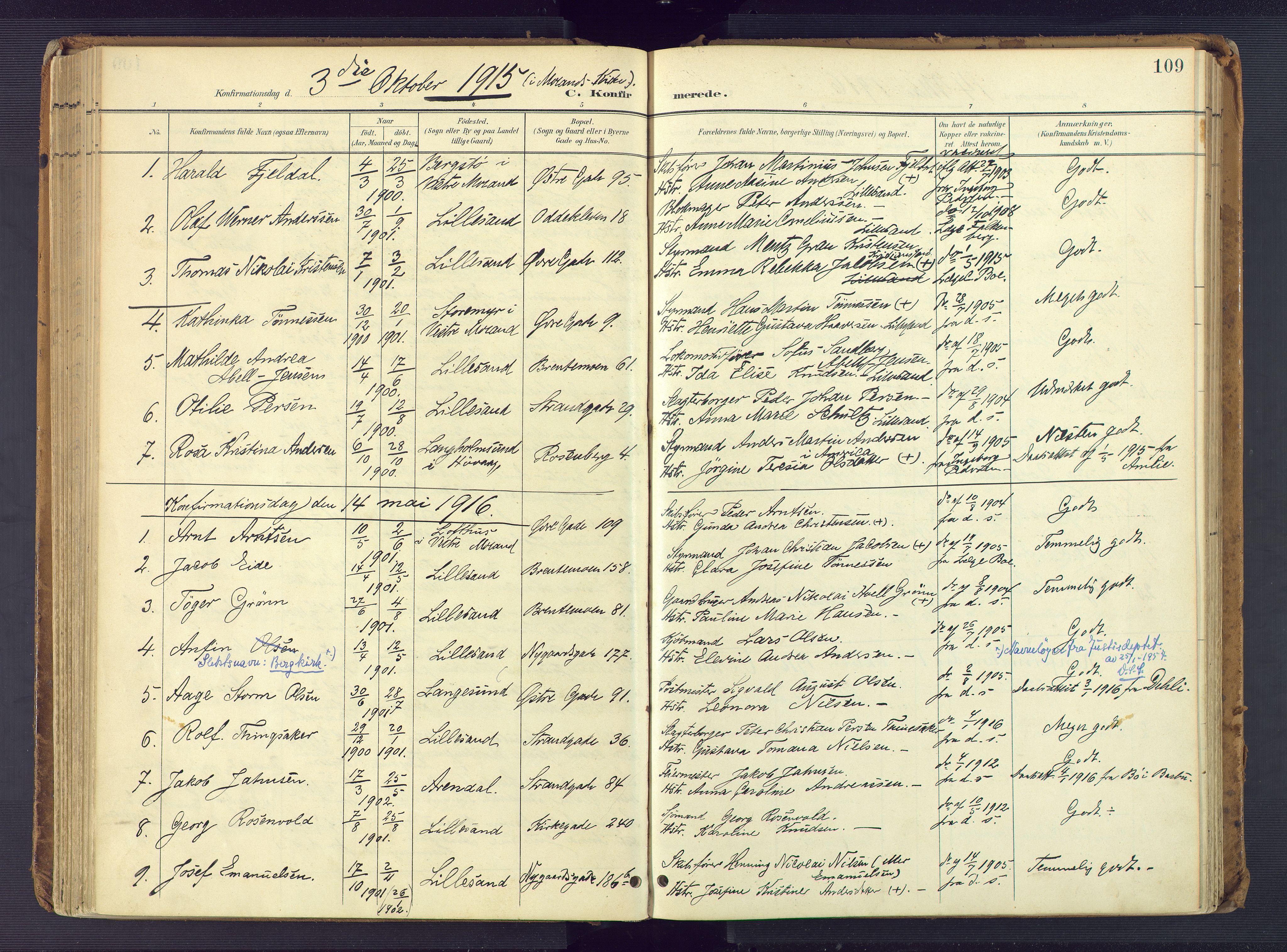 Vestre Moland sokneprestkontor, AV/SAK-1111-0046/F/Fa/Faa/L0002: Parish register (official) no. A 2, 1900-1926, p. 109