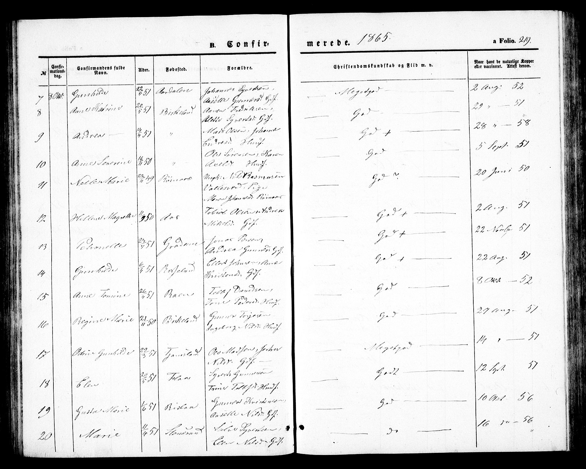 Birkenes sokneprestkontor, SAK/1111-0004/F/Fb/L0002: Parish register (copy) no. B 2, 1849-1876, p. 219