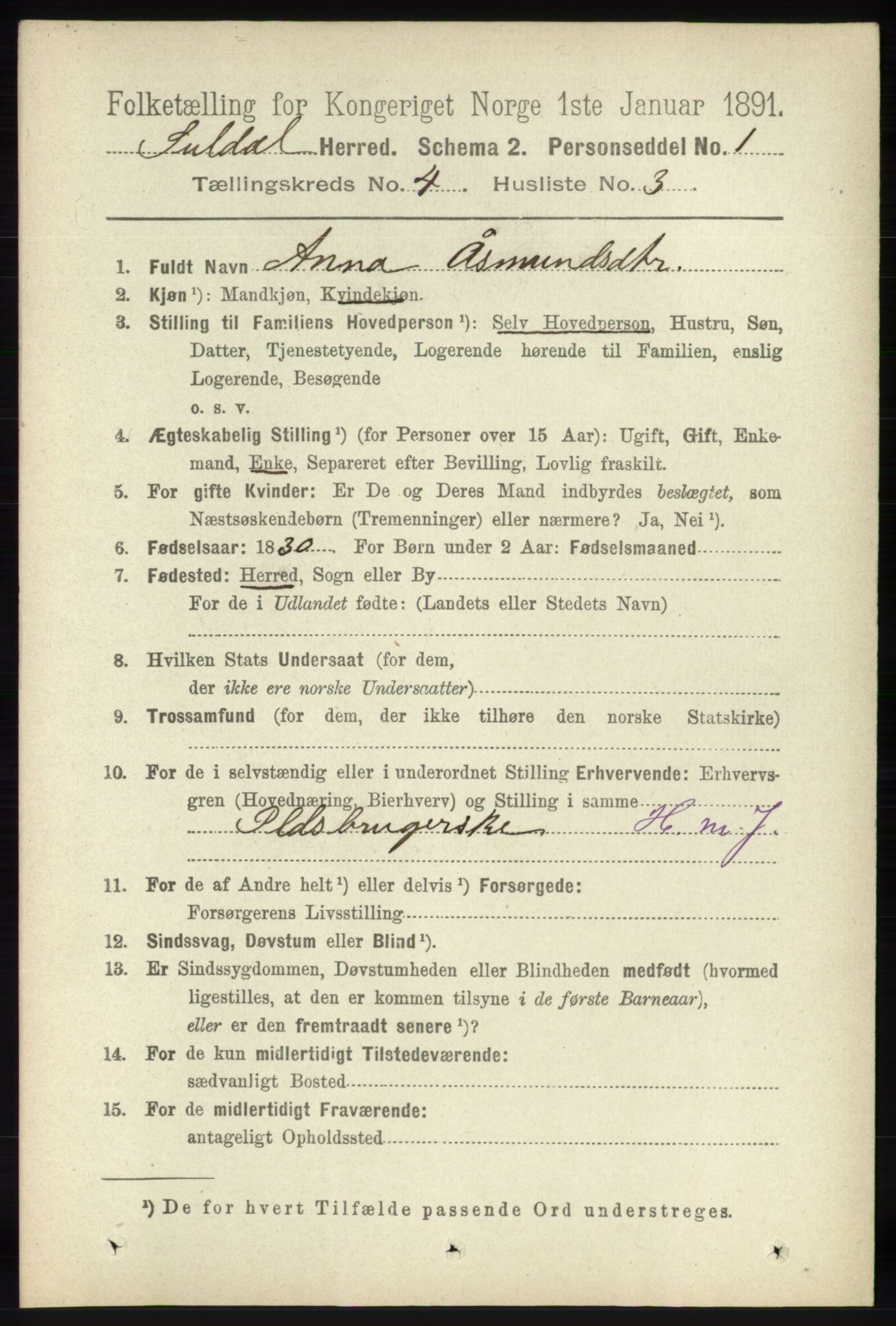 RA, 1891 census for 1134 Suldal, 1891, p. 873