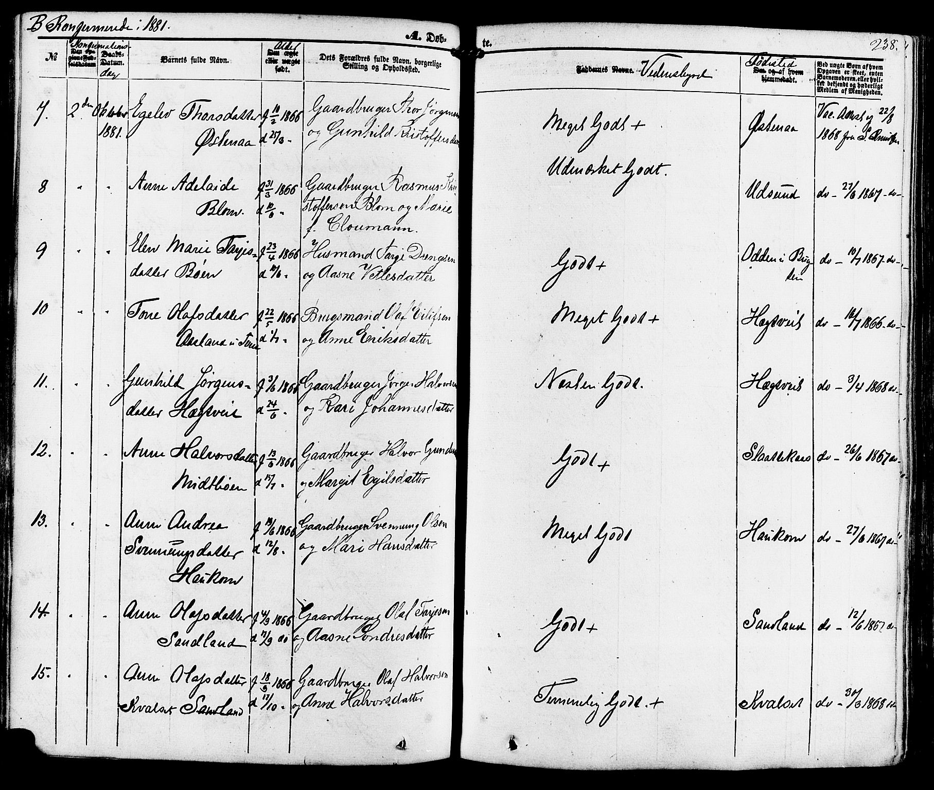 Kviteseid kirkebøker, AV/SAKO-A-276/F/Fa/L0007: Parish register (official) no. I 7, 1859-1881, p. 238