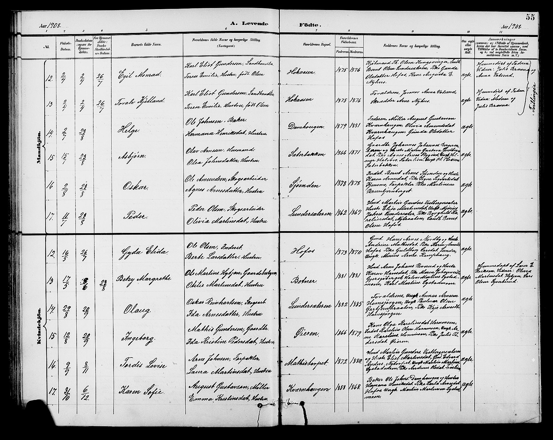 Brandval prestekontor, AV/SAH-PREST-034/H/Ha/Hab/L0001: Parish register (copy) no. 1, 1895-1910, p. 55