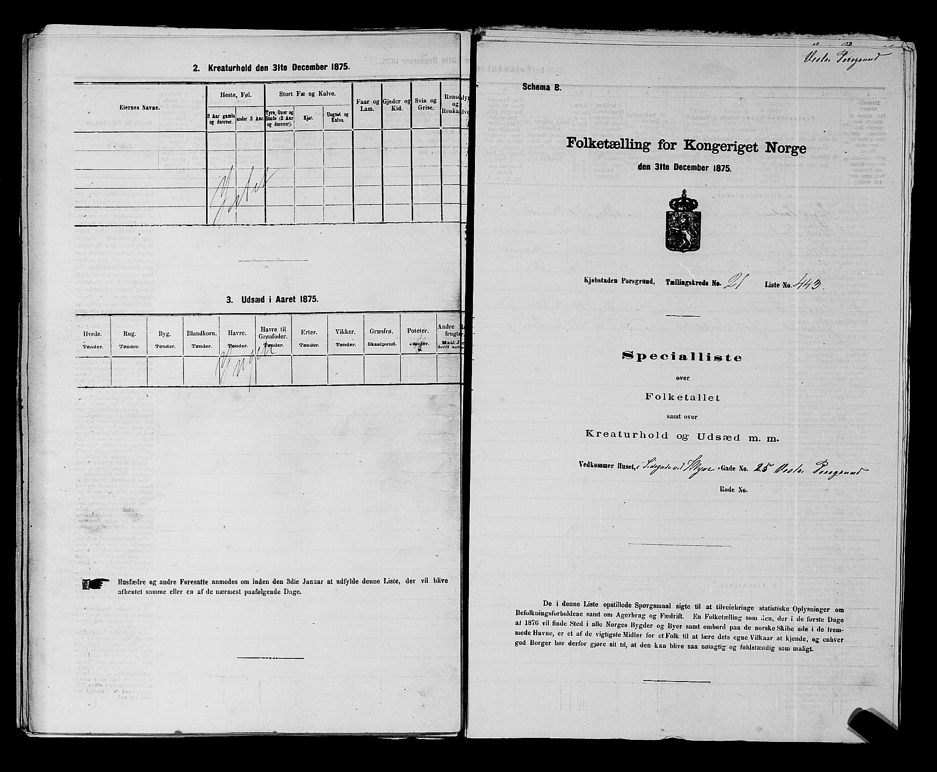 SAKO, 1875 census for 0805P Porsgrunn, 1875, p. 993