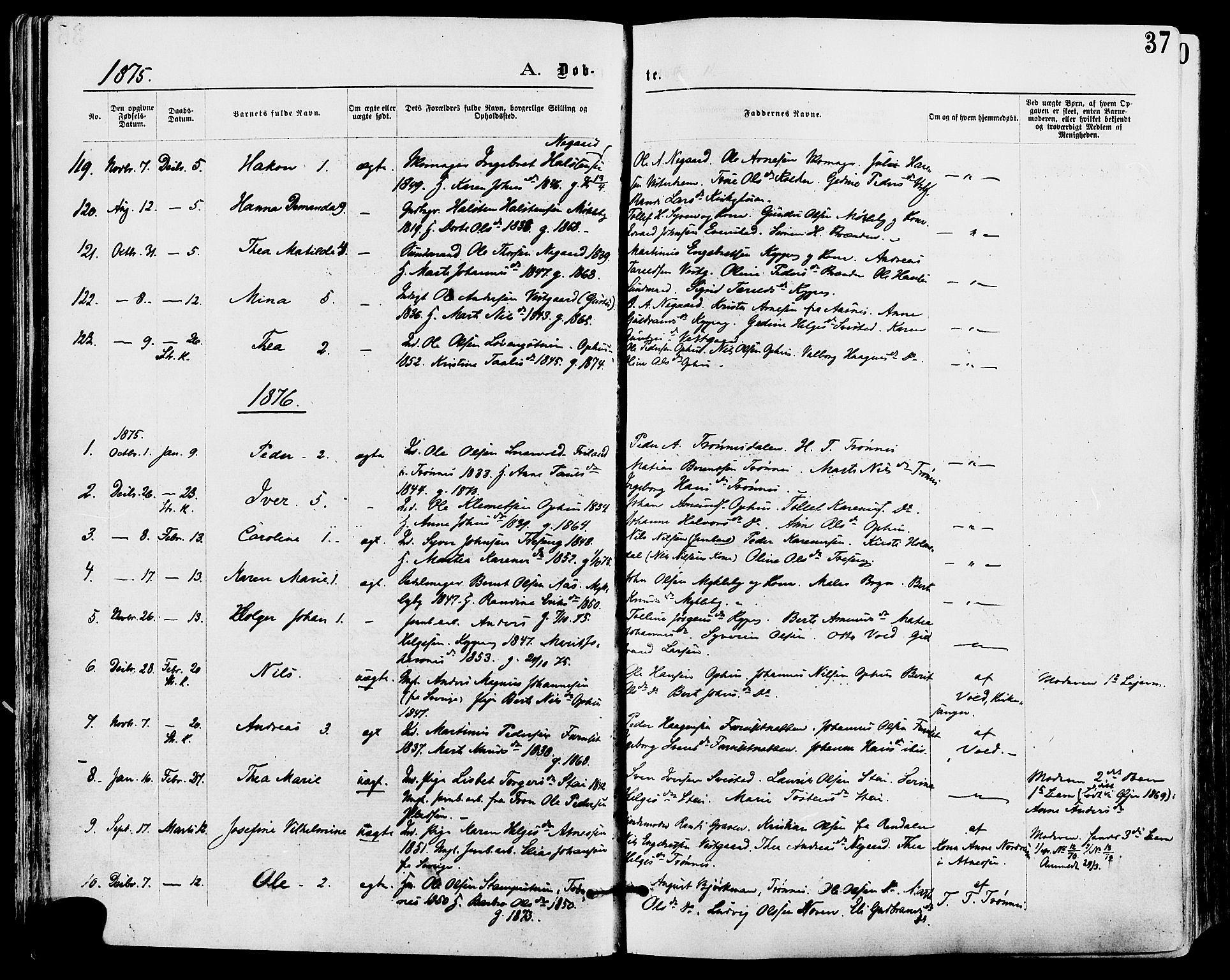 Stor-Elvdal prestekontor, SAH/PREST-052/H/Ha/Haa/L0001: Parish register (official) no. 1, 1871-1882, p. 37