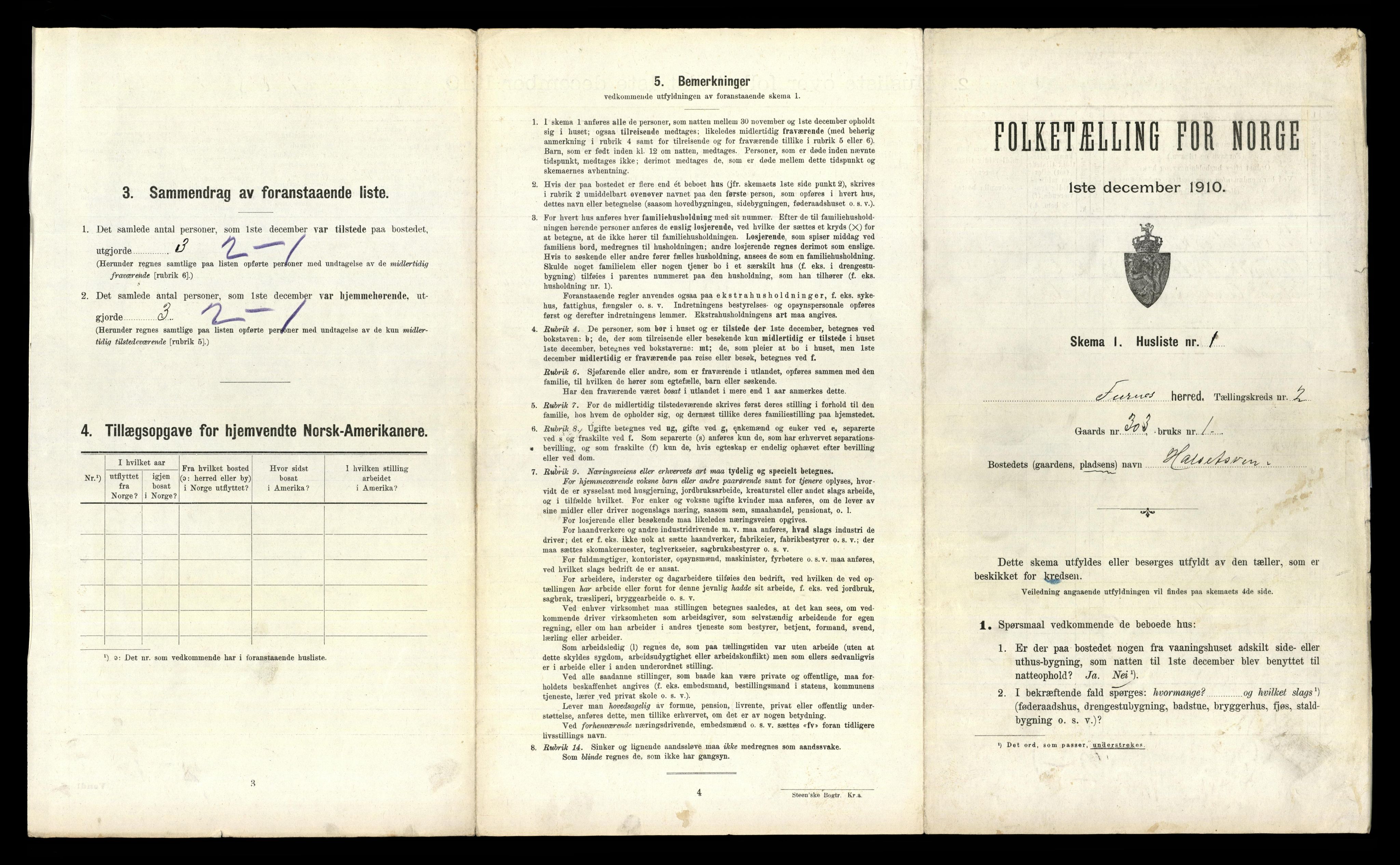 RA, 1910 census for Furnes, 1910, p. 316