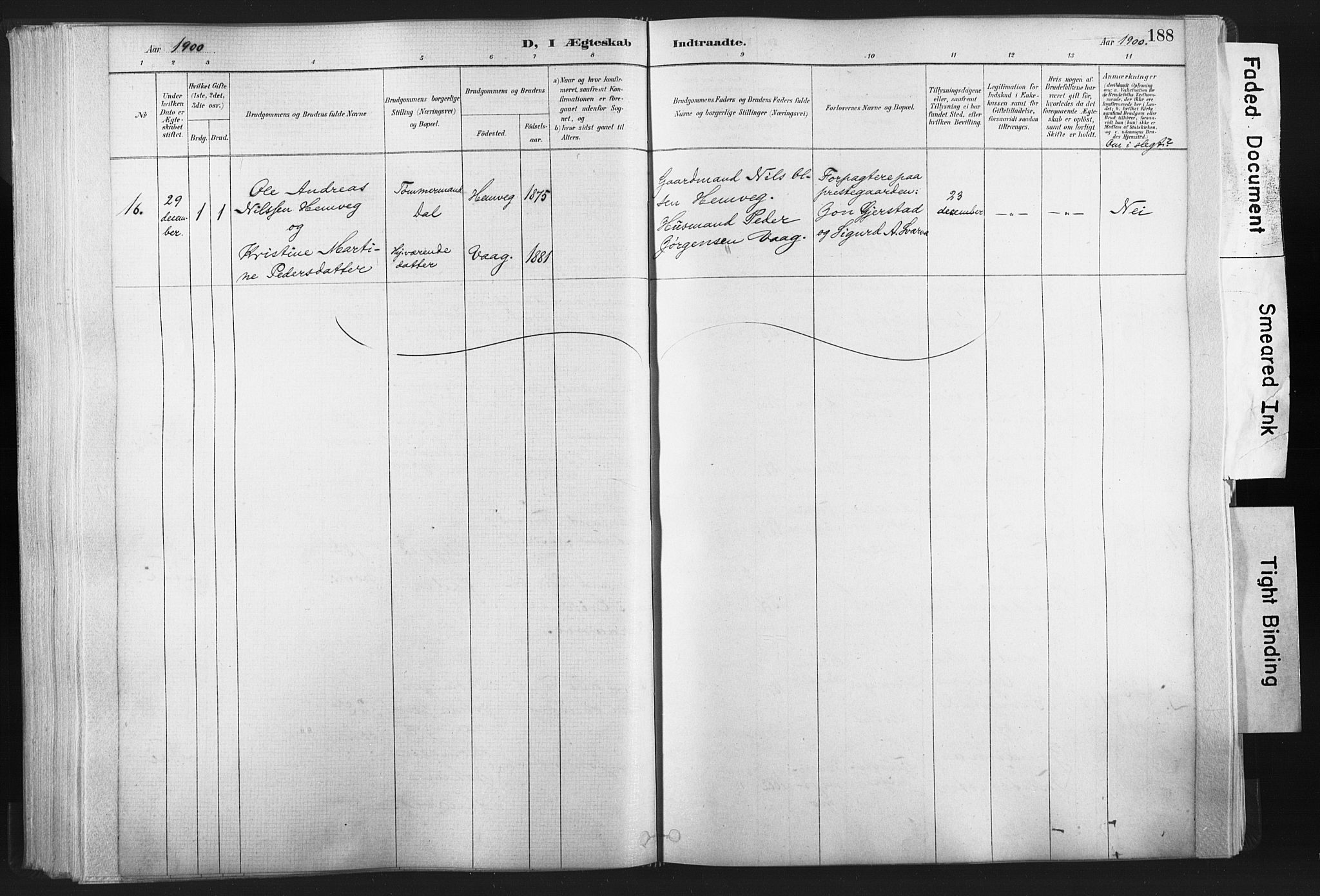 Ministerialprotokoller, klokkerbøker og fødselsregistre - Nord-Trøndelag, AV/SAT-A-1458/749/L0474: Parish register (official) no. 749A08, 1887-1903, p. 188