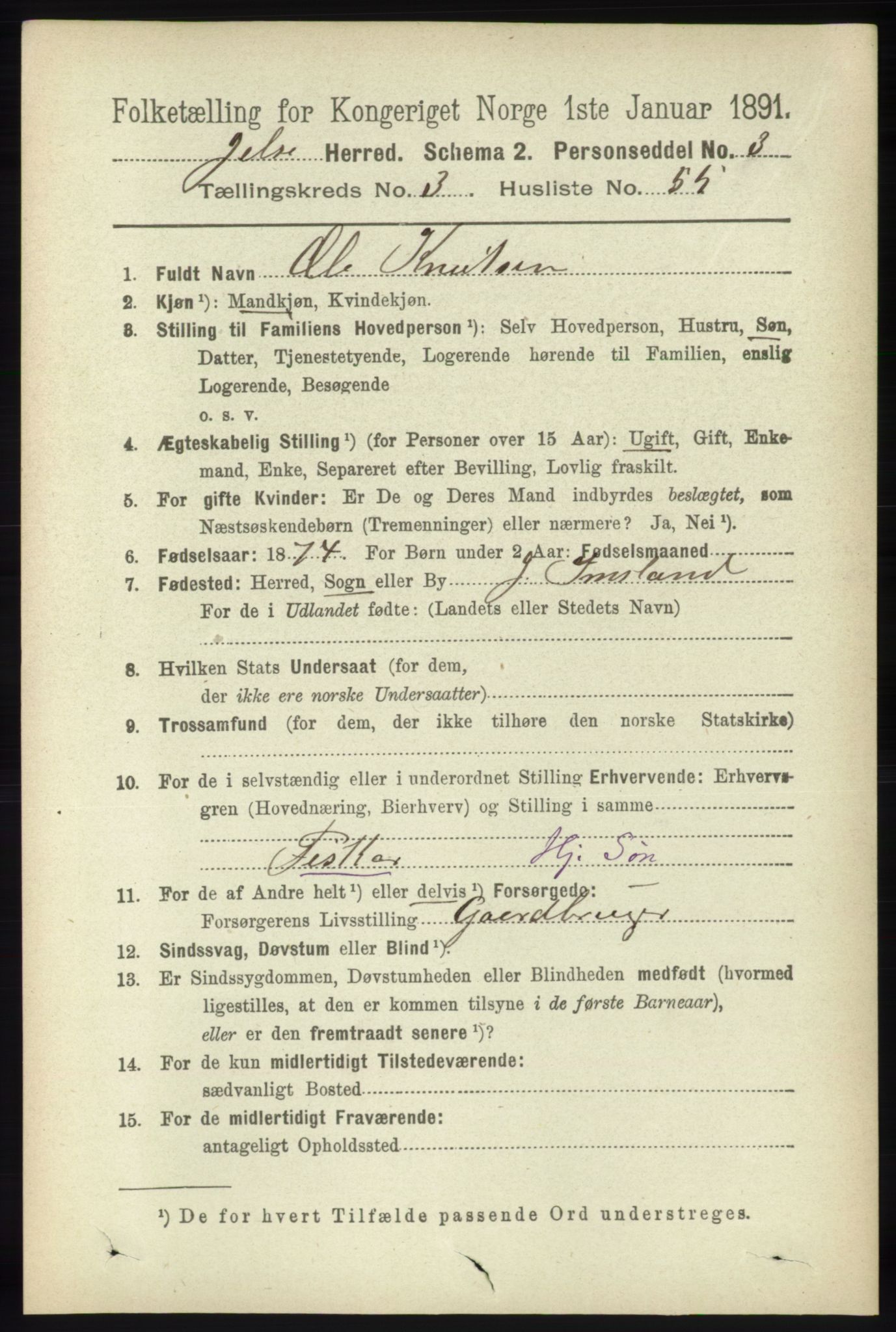 RA, 1891 census for 1138 Jelsa, 1891, p. 628