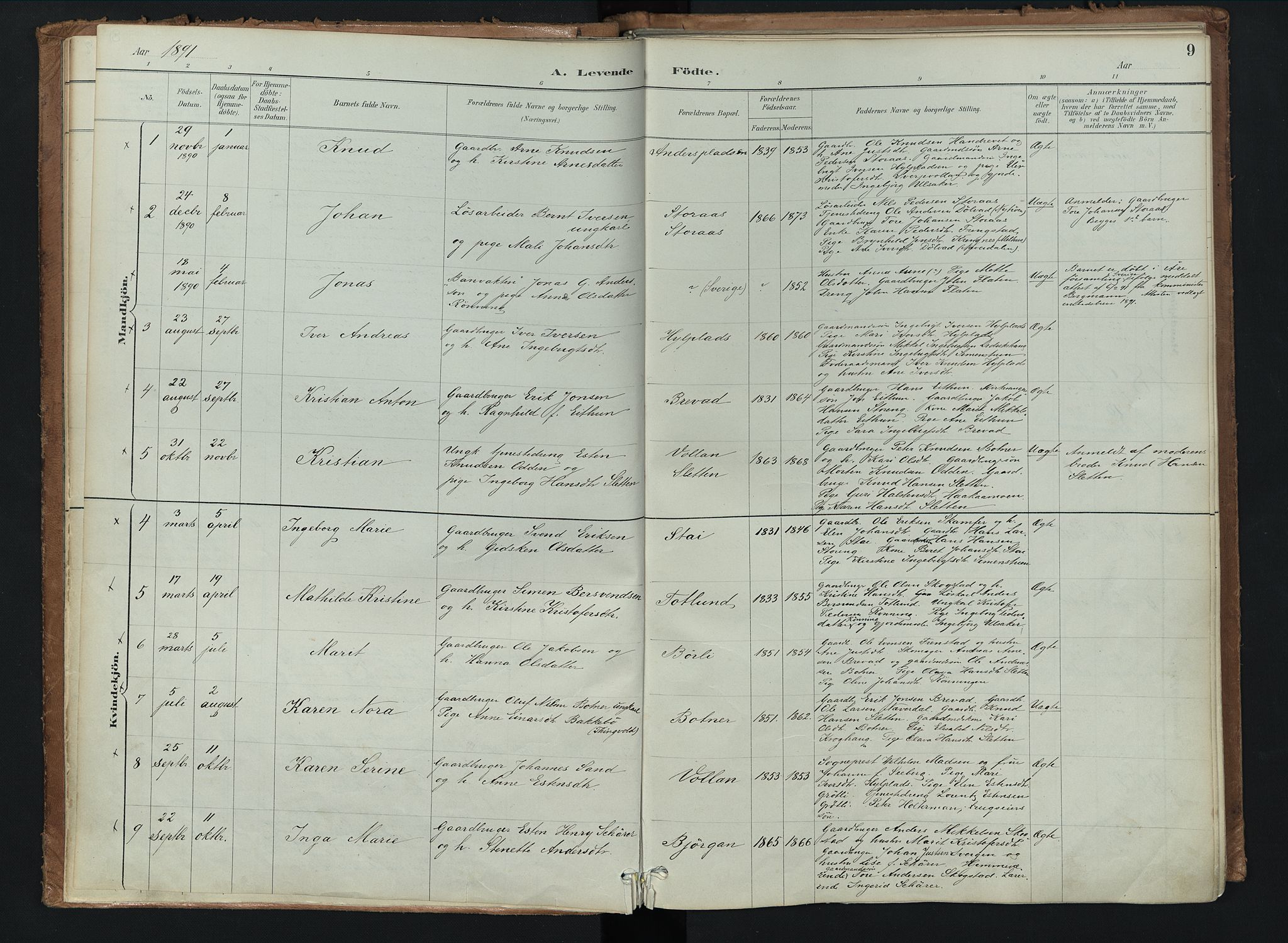 Kvikne prestekontor, AV/SAH-PREST-064/H/Ha/Haa/L0008: Parish register (official) no. 8, 1887-1911, p. 9