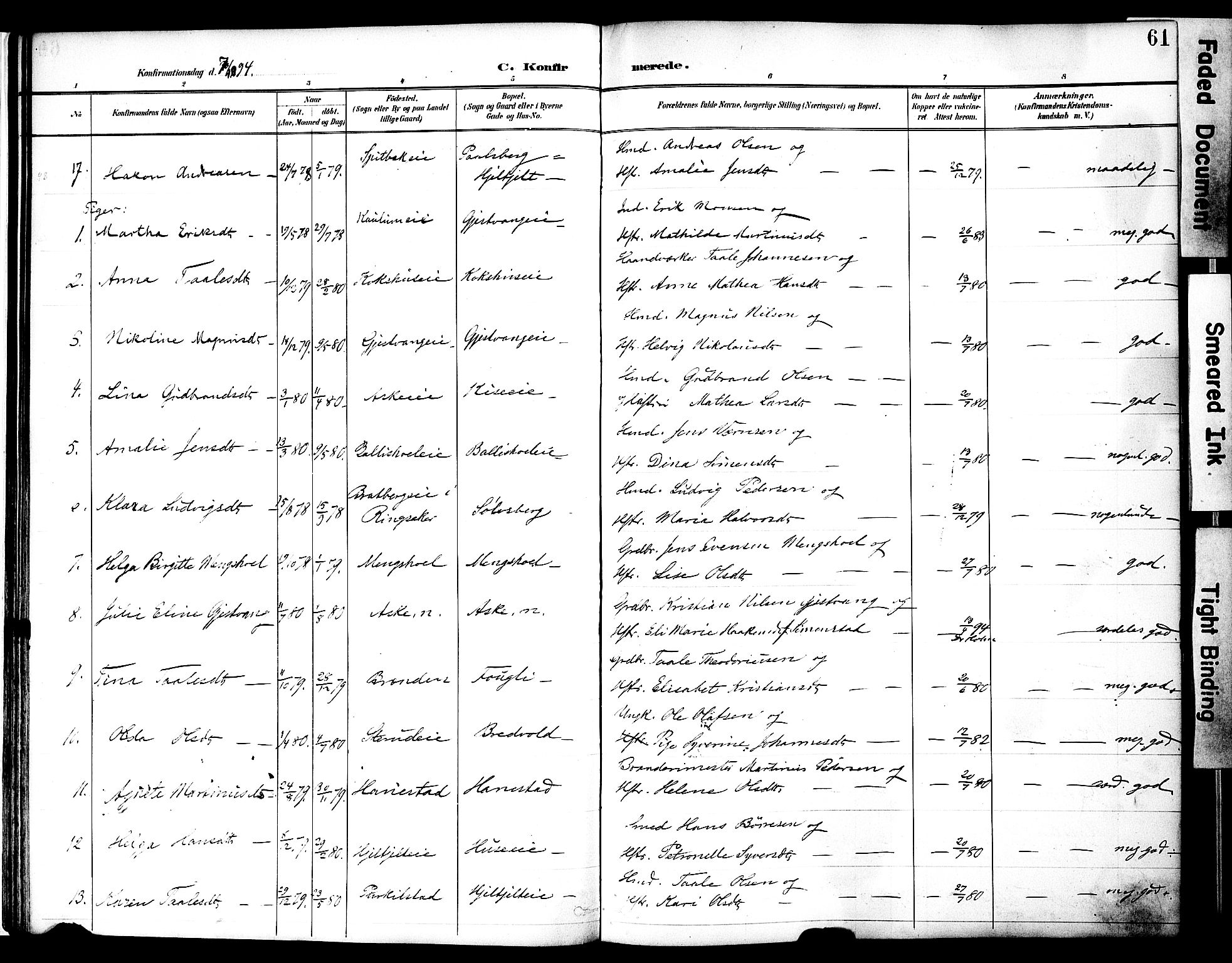Nes prestekontor, Hedmark, AV/SAH-PREST-020/K/Ka/L0010: Parish register (official) no. 10, 1887-1905, p. 61