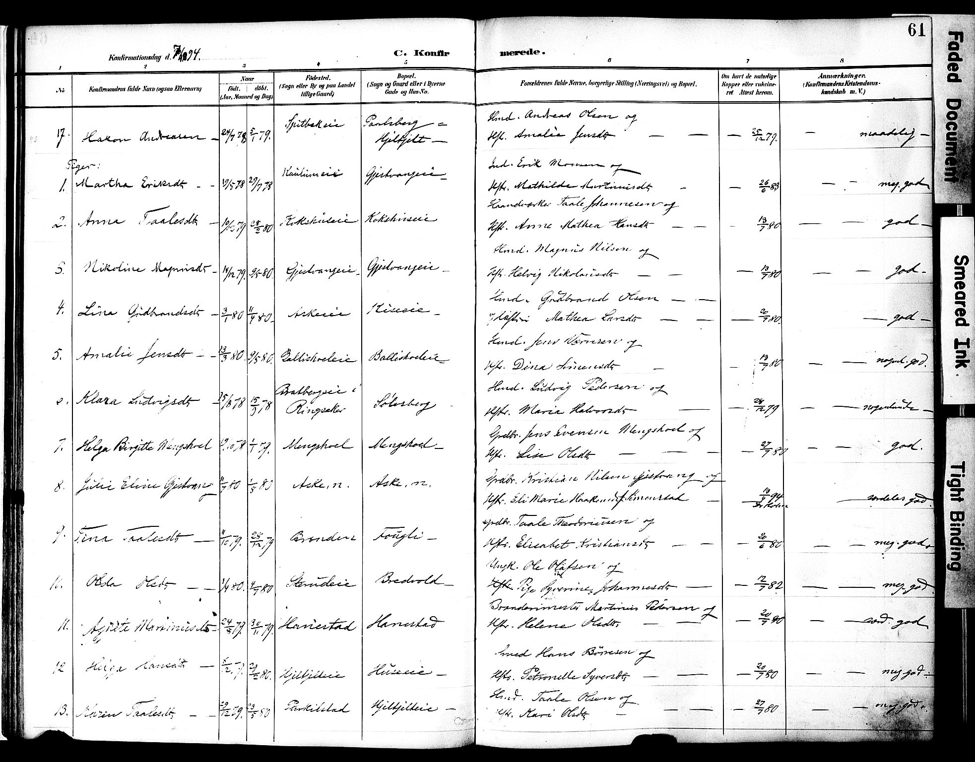 Nes prestekontor, Hedmark, AV/SAH-PREST-020/K/Ka/L0010: Parish register (official) no. 10, 1887-1905, p. 61