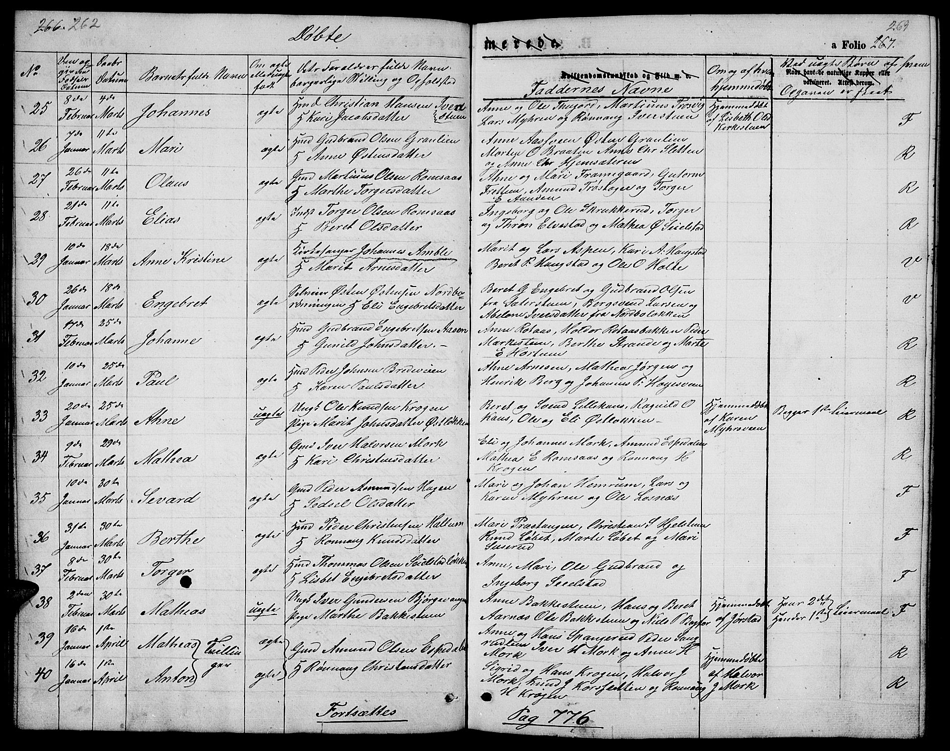Ringebu prestekontor, SAH/PREST-082/H/Ha/Hab/L0003: Parish register (copy) no. 3, 1854-1866, p. 262-263