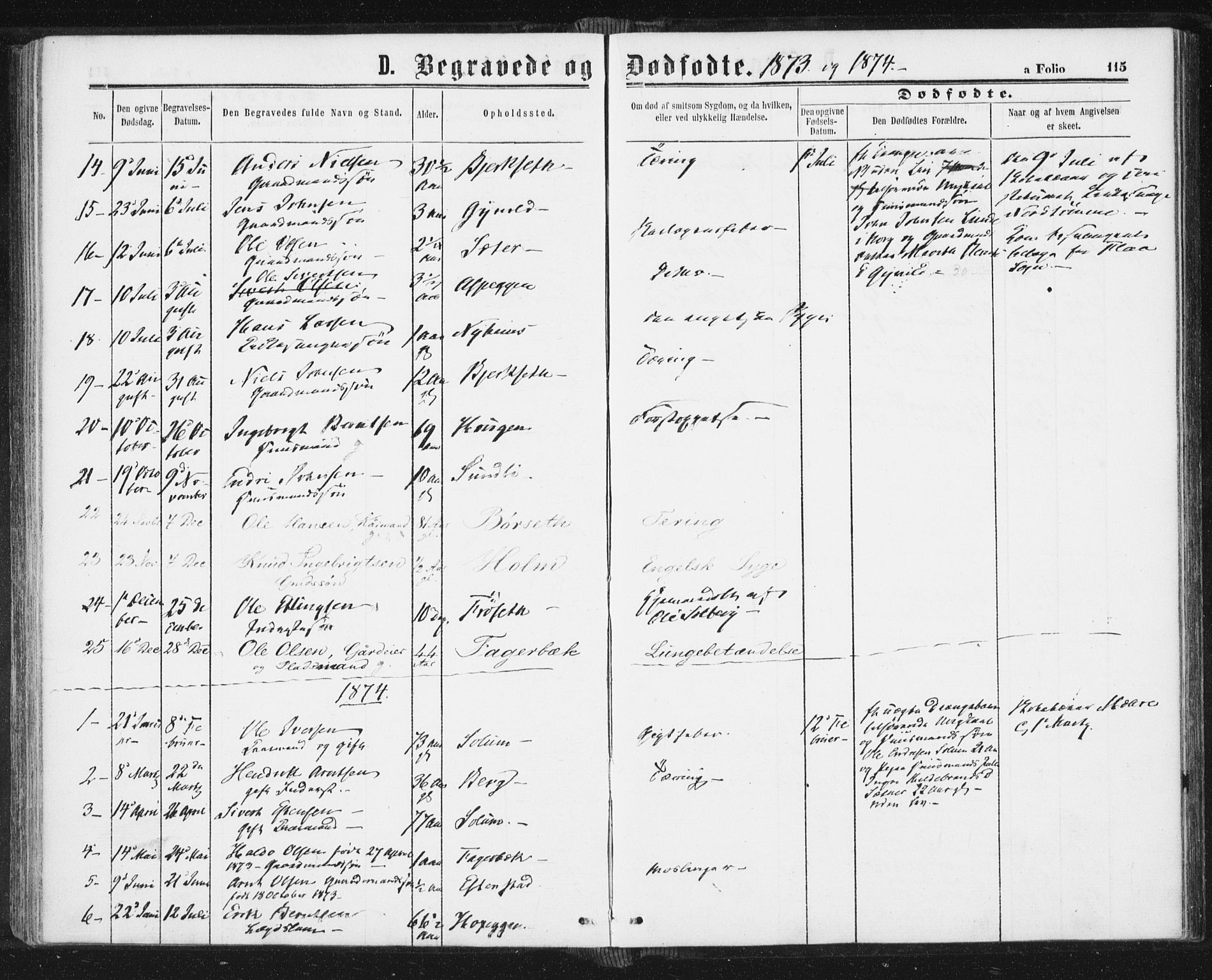 Ministerialprotokoller, klokkerbøker og fødselsregistre - Sør-Trøndelag, AV/SAT-A-1456/689/L1039: Parish register (official) no. 689A04, 1865-1878, p. 115