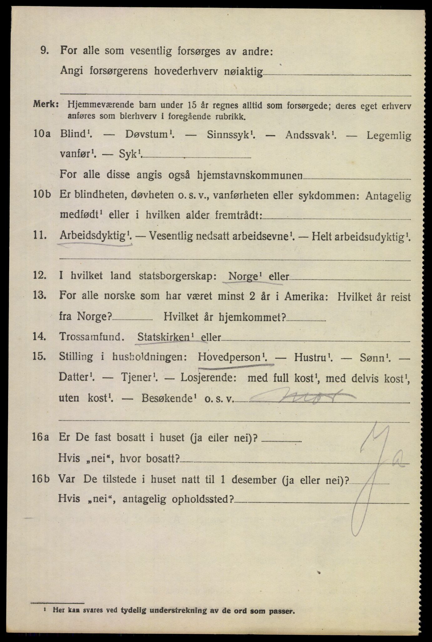 SAKO, 1920 census for Borre, 1920, p. 4961