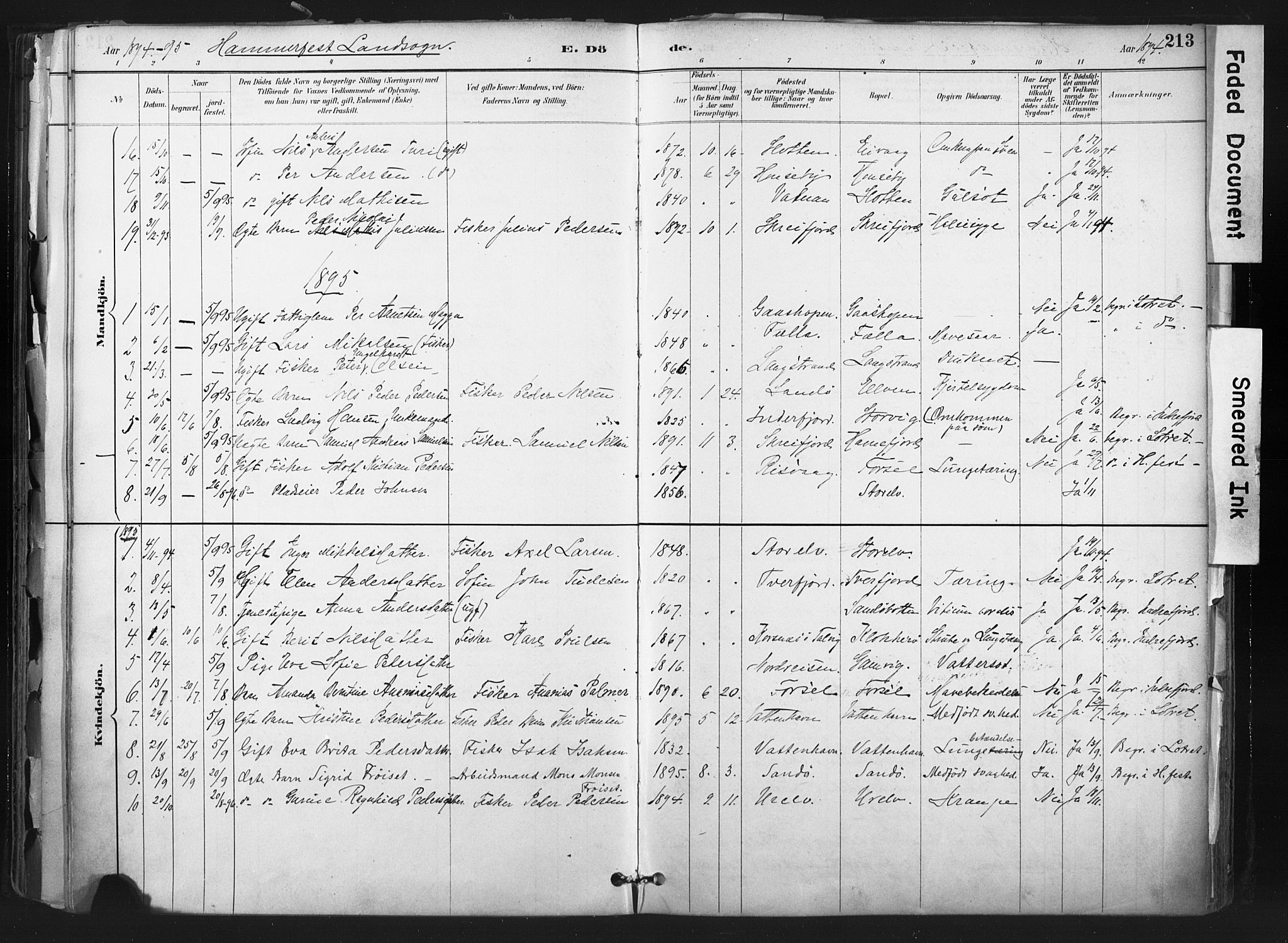 Hammerfest sokneprestkontor, SATØ/S-1347: Parish register (official) no. 11 /1, 1885-1897, p. 213