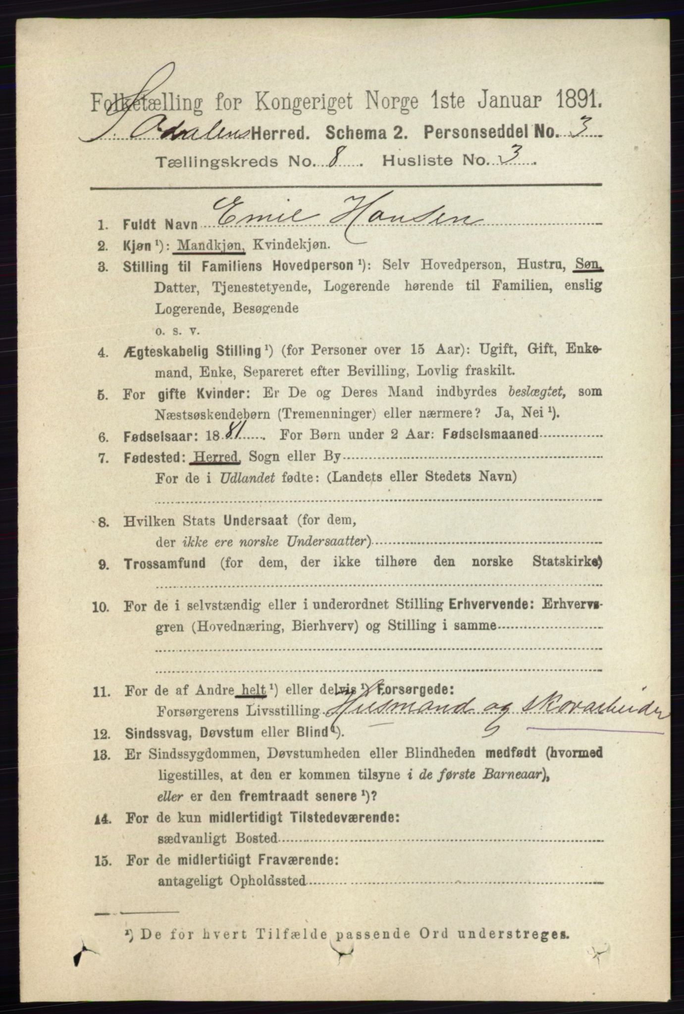 RA, 1891 census for 0419 Sør-Odal, 1891, p. 3989