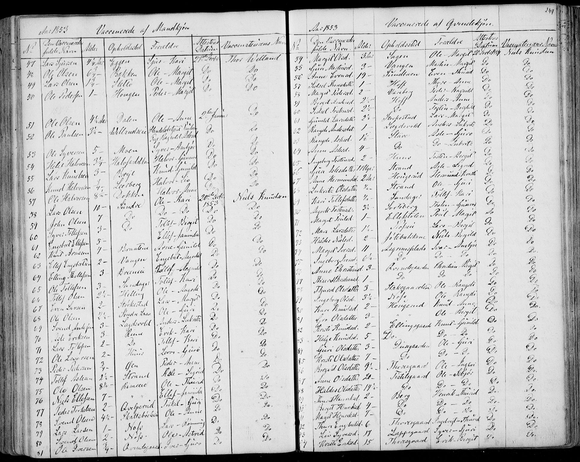 Ål kirkebøker, AV/SAKO-A-249/F/Fa/L0006: Parish register (official) no. I 6, 1849-1864, p. 249