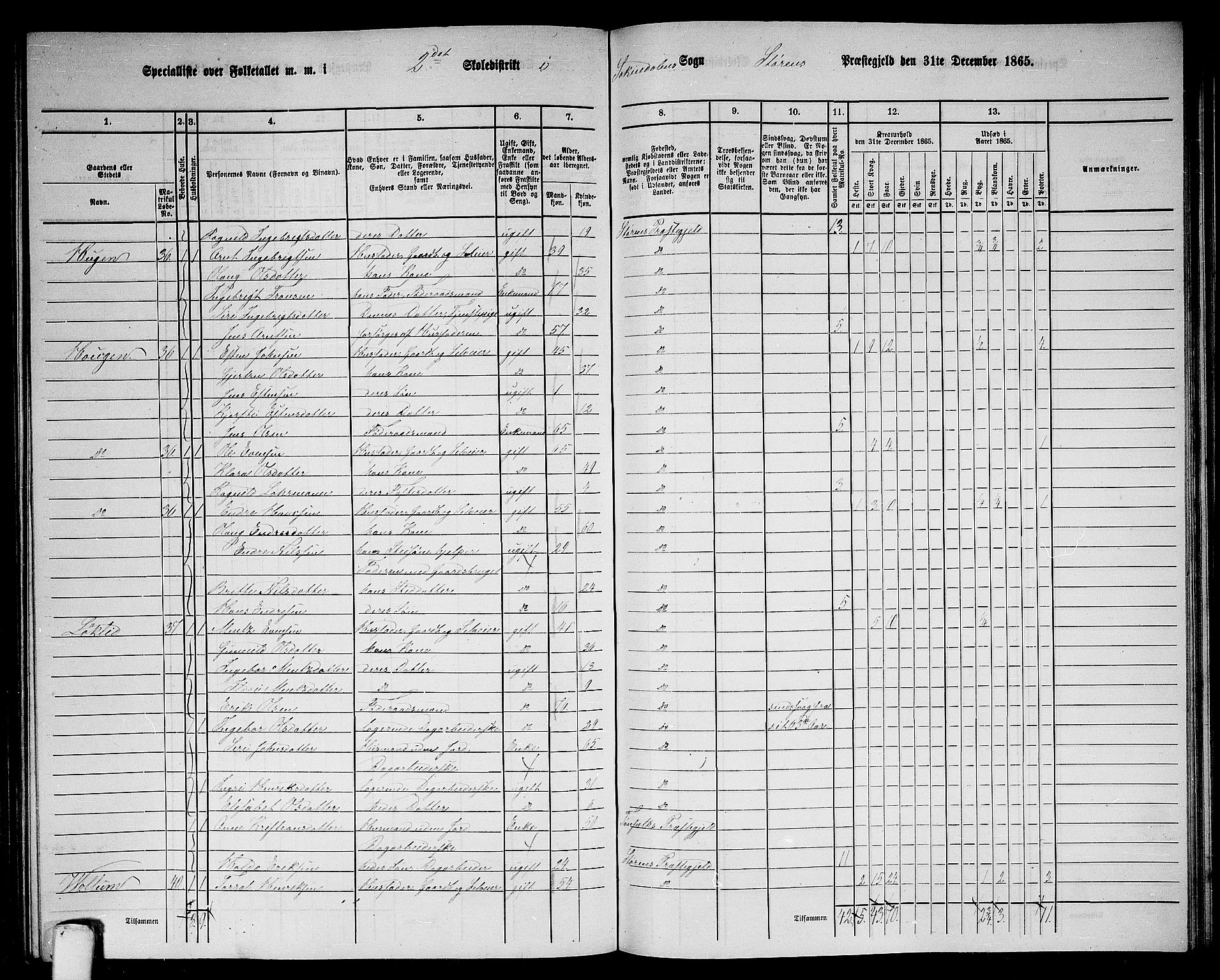 RA, 1865 census for Støren, 1865, p. 242