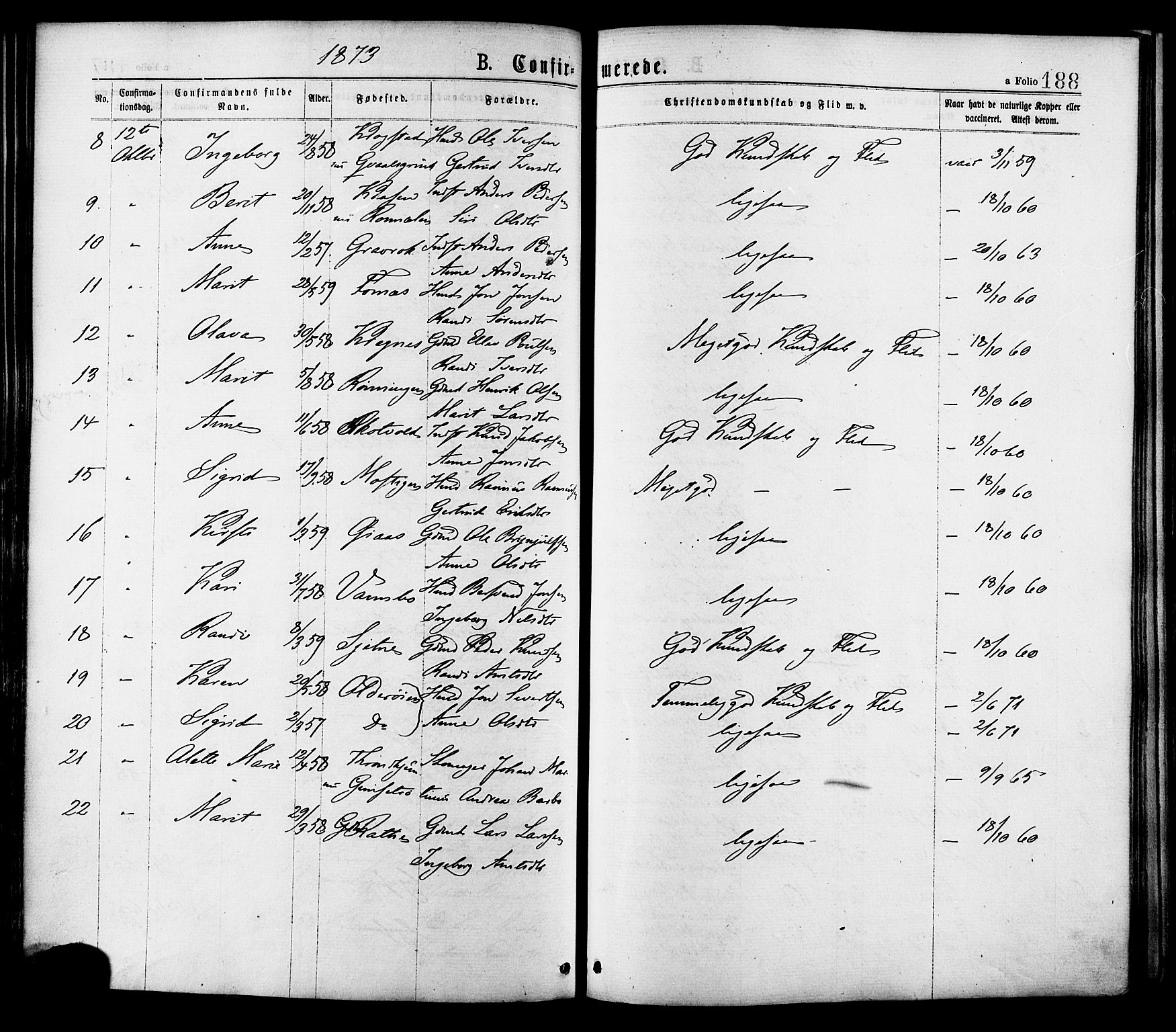 Ministerialprotokoller, klokkerbøker og fødselsregistre - Sør-Trøndelag, AV/SAT-A-1456/691/L1079: Parish register (official) no. 691A11, 1873-1886, p. 188