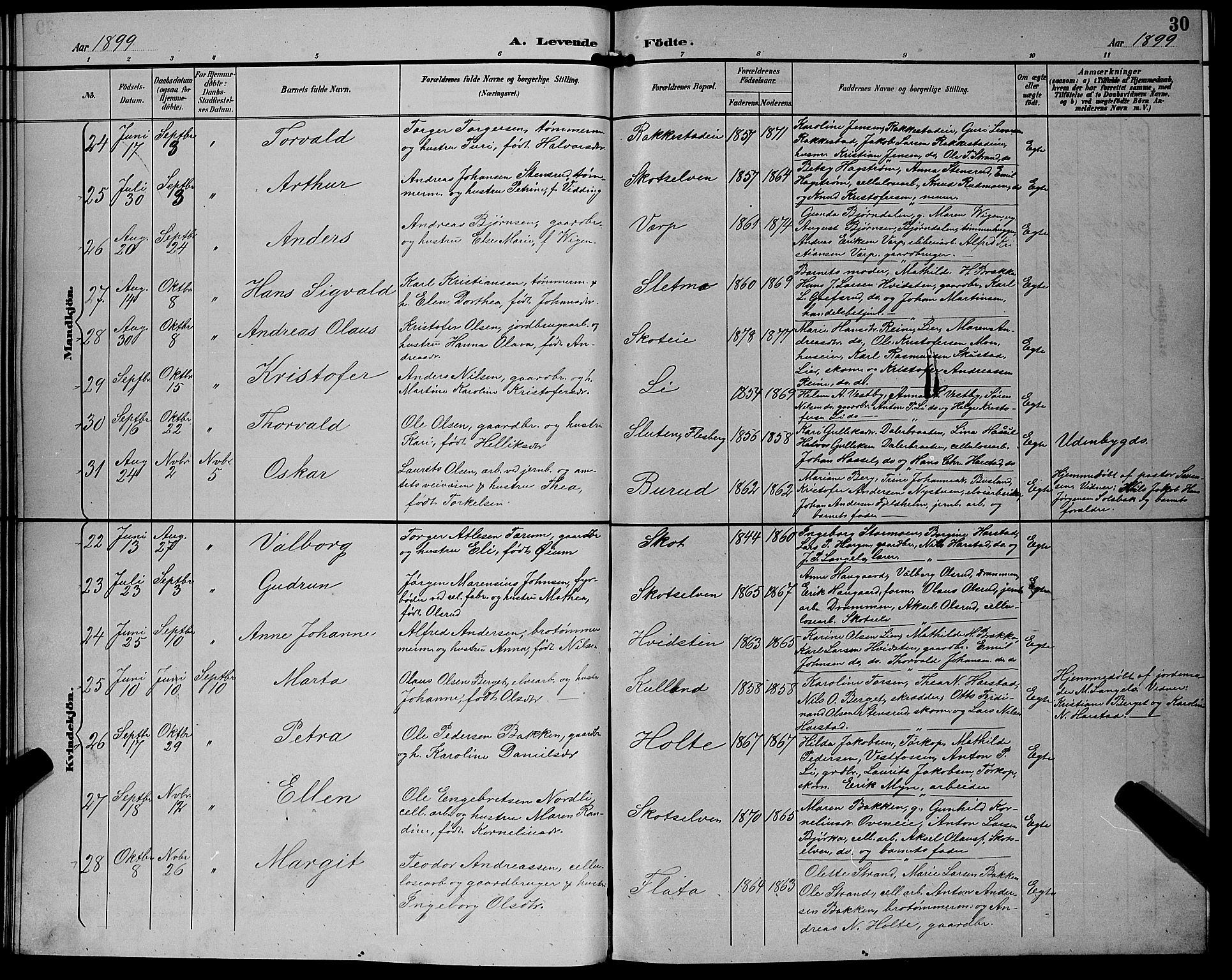 Eiker kirkebøker, SAKO/A-4/G/Gb/L0004: Parish register (copy) no. II 4, 1894-1900, p. 30