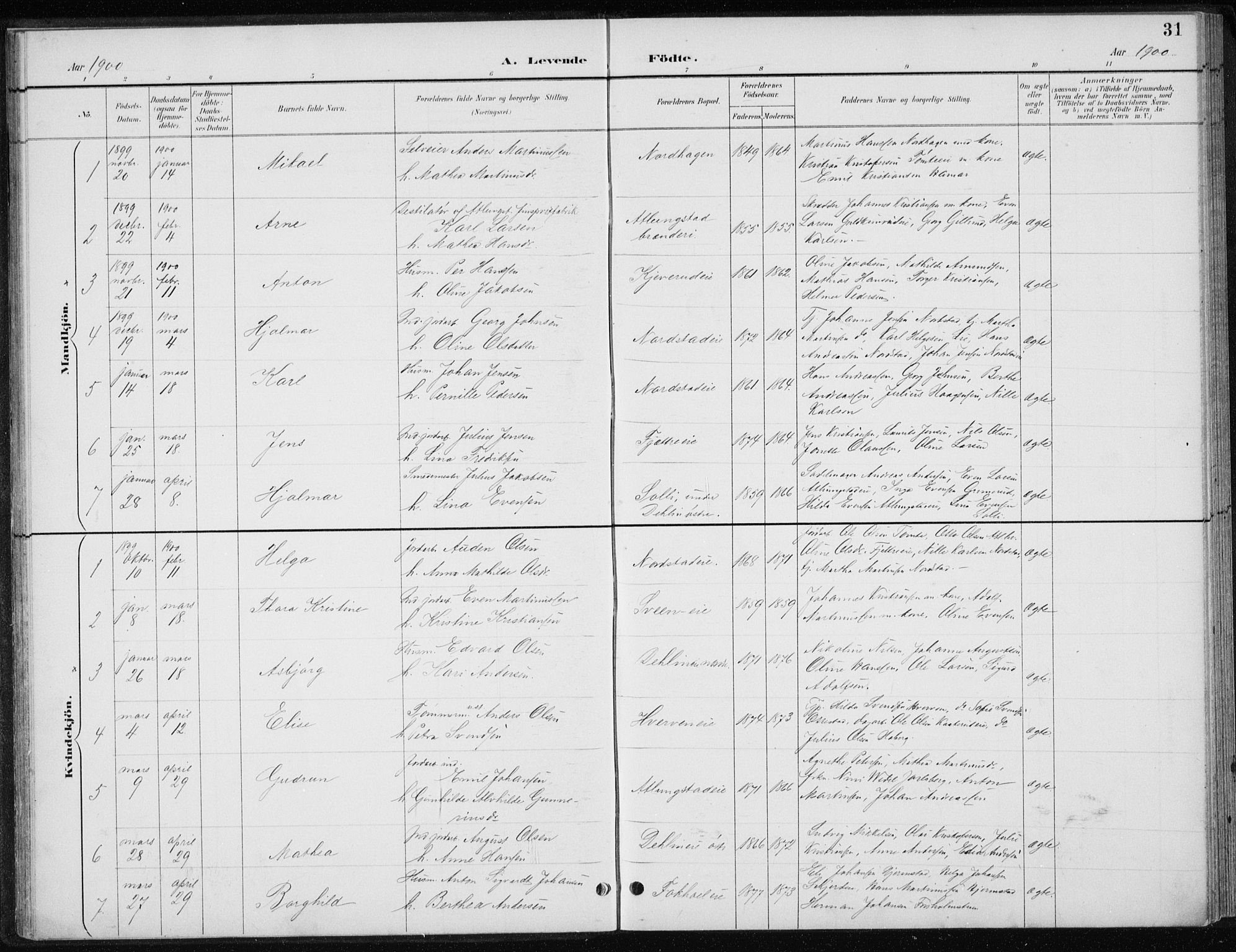 Stange prestekontor, SAH/PREST-002/L/L0010: Parish register (copy) no. 10, 1894-1905, p. 31