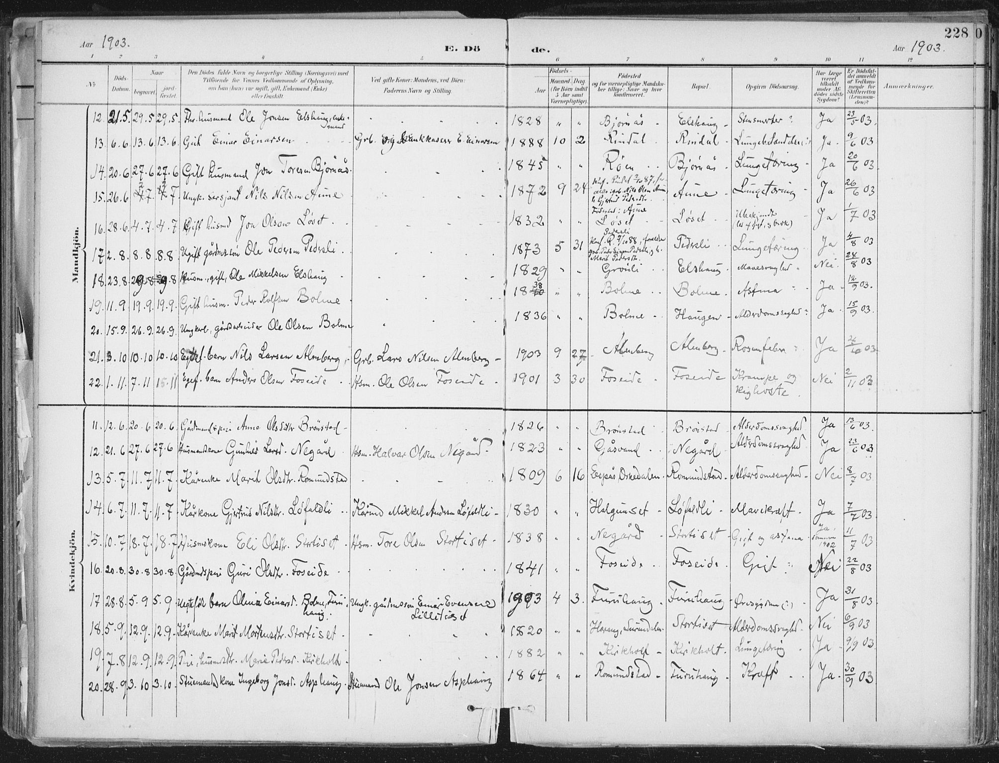 Ministerialprotokoller, klokkerbøker og fødselsregistre - Møre og Romsdal, AV/SAT-A-1454/598/L1072: Parish register (official) no. 598A06, 1896-1910, p. 228