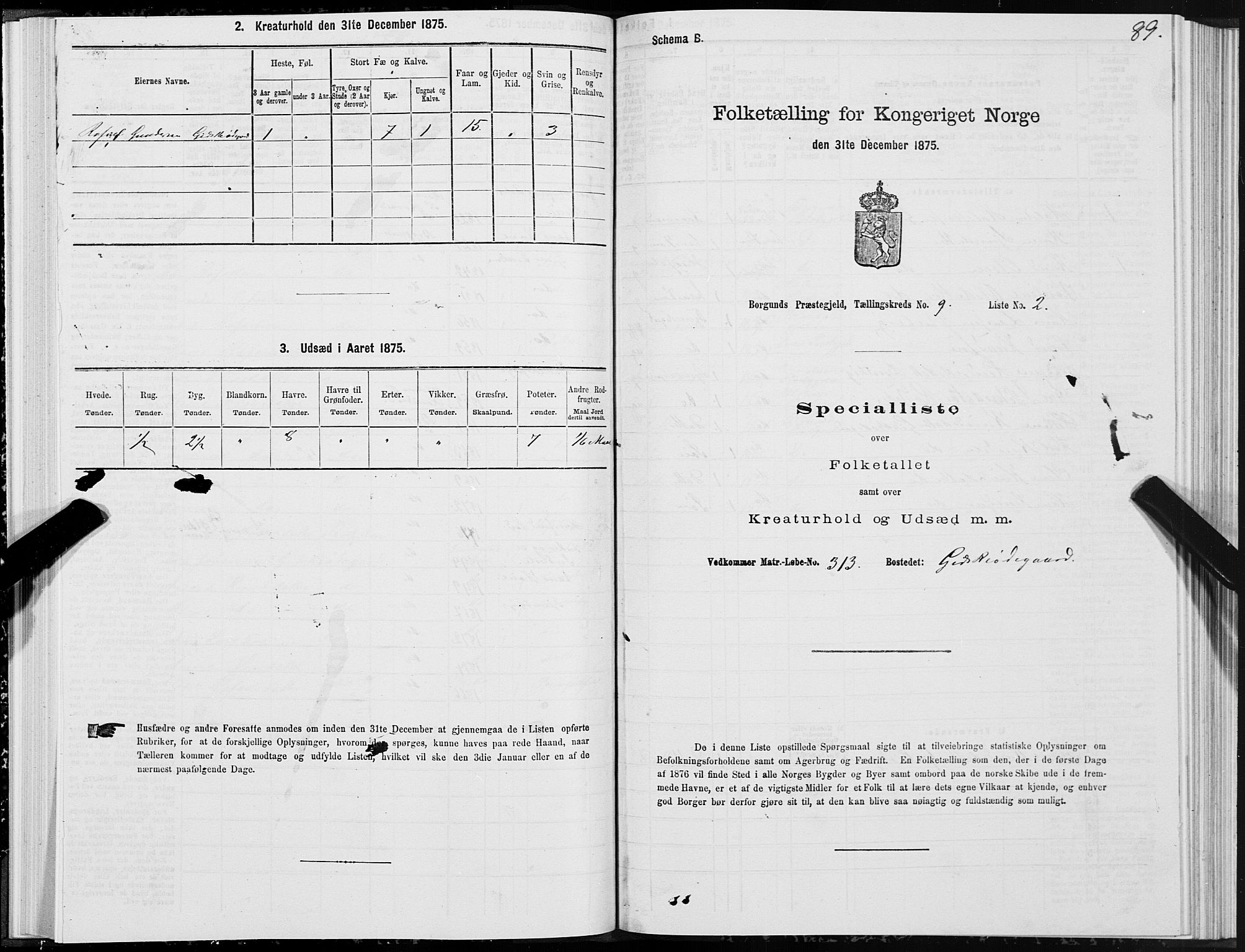 SAT, 1875 census for 1531P Borgund, 1875, p. 5089