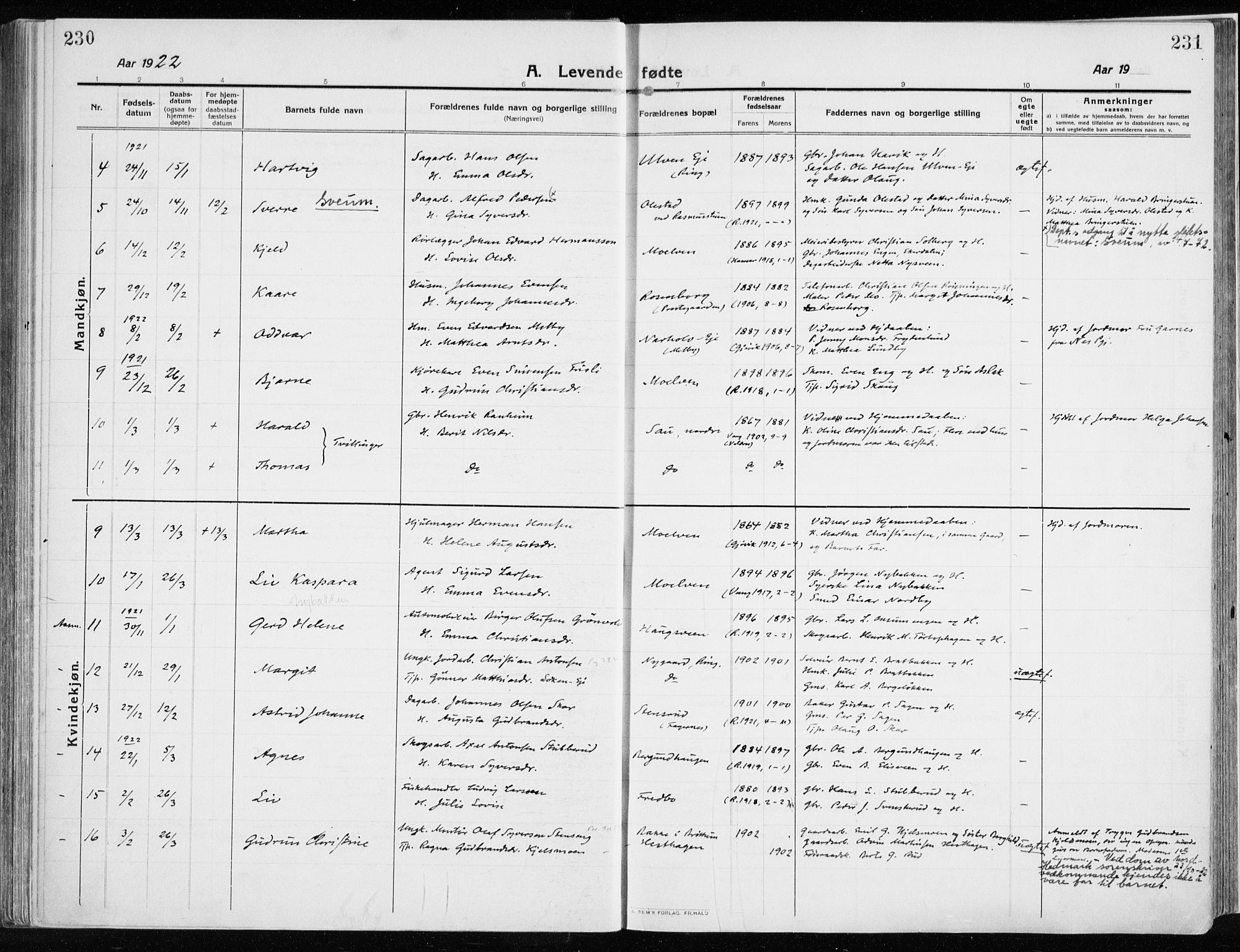 Ringsaker prestekontor, AV/SAH-PREST-014/K/Ka/L0020: Parish register (official) no. 20, 1913-1922, p. 230-231