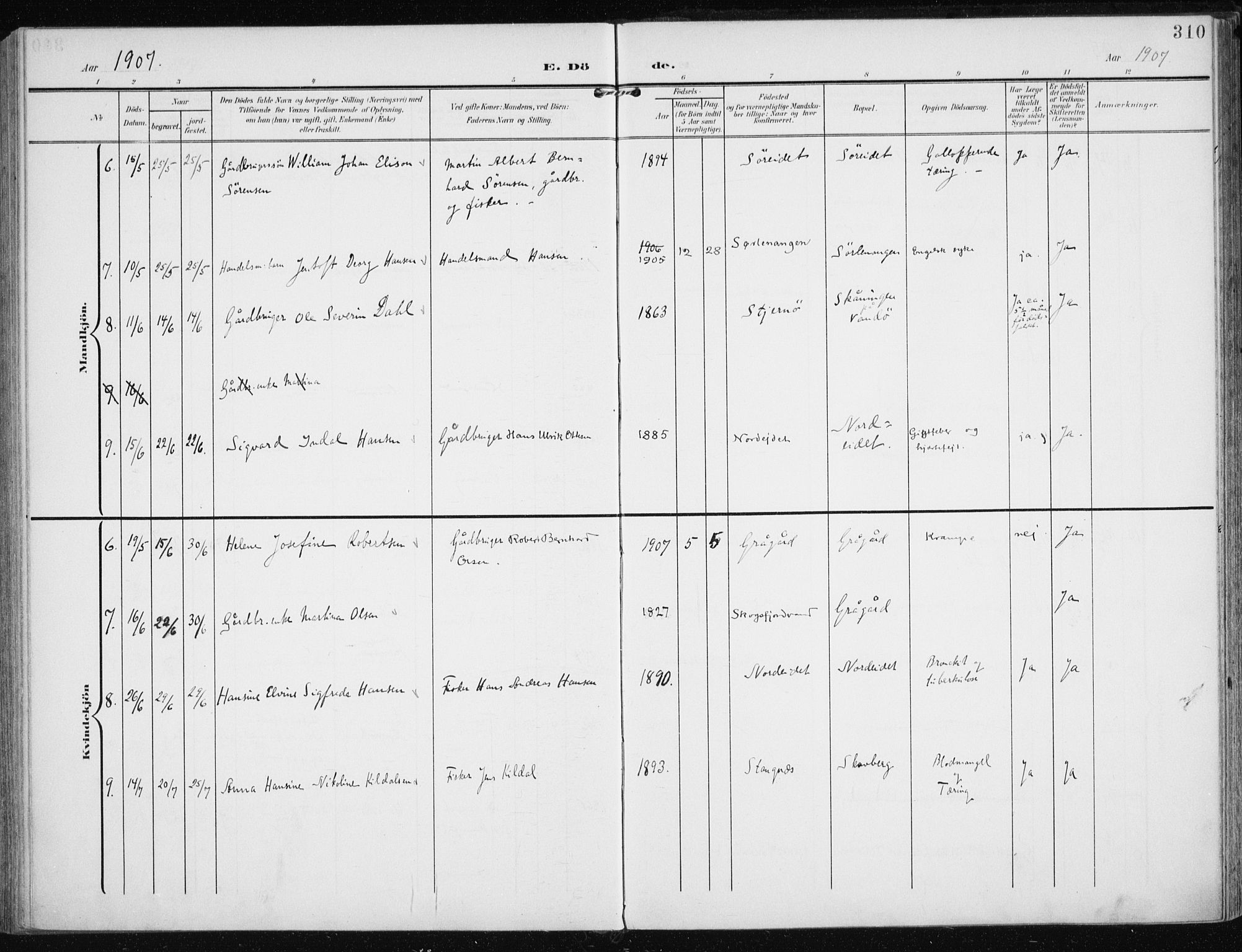 Karlsøy sokneprestembete, AV/SATØ-S-1299/H/Ha/Haa/L0014kirke: Parish register (official) no. 14, 1903-1917, p. 310