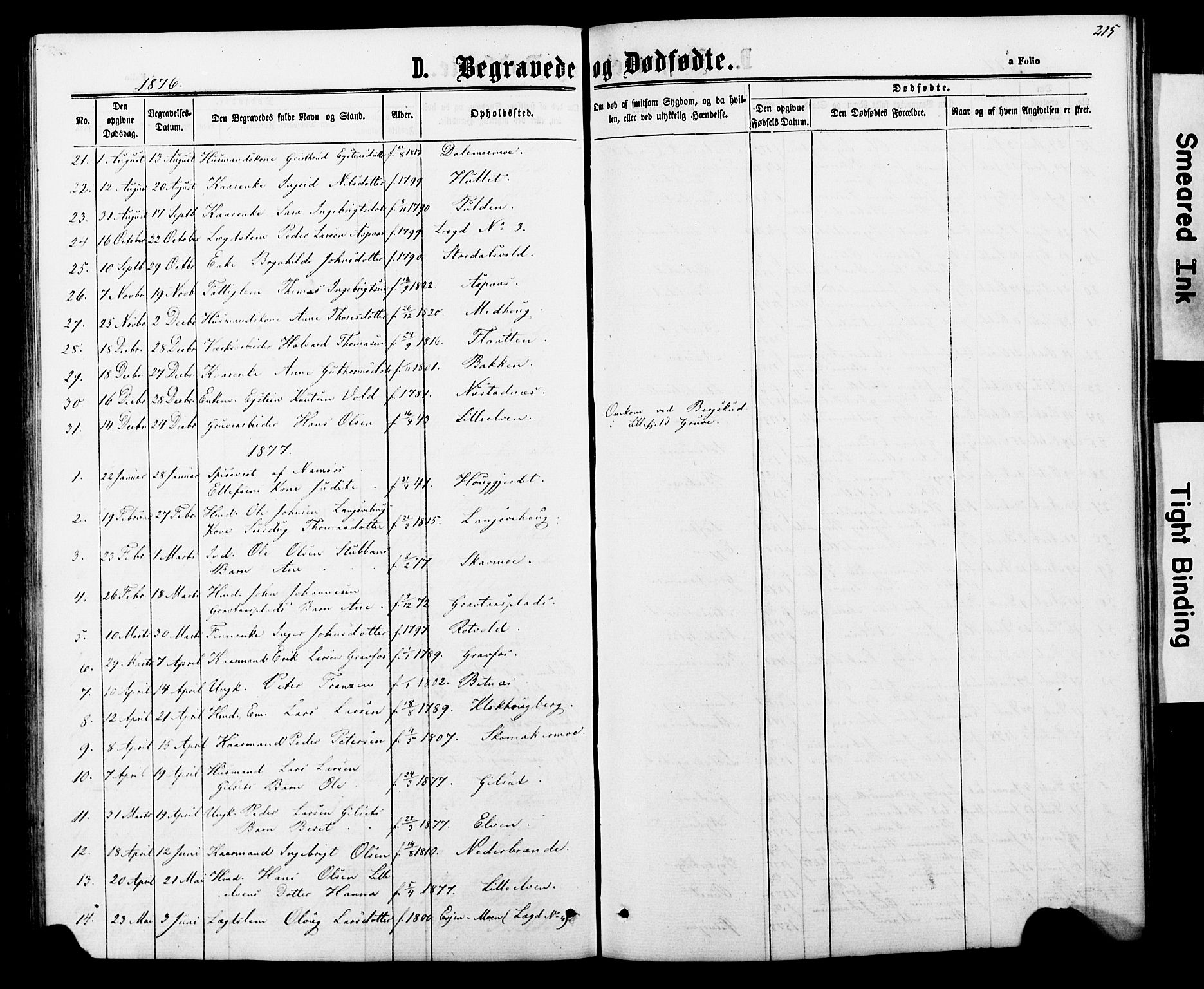 Ministerialprotokoller, klokkerbøker og fødselsregistre - Nord-Trøndelag, AV/SAT-A-1458/706/L0049: Parish register (copy) no. 706C01, 1864-1895, p. 215
