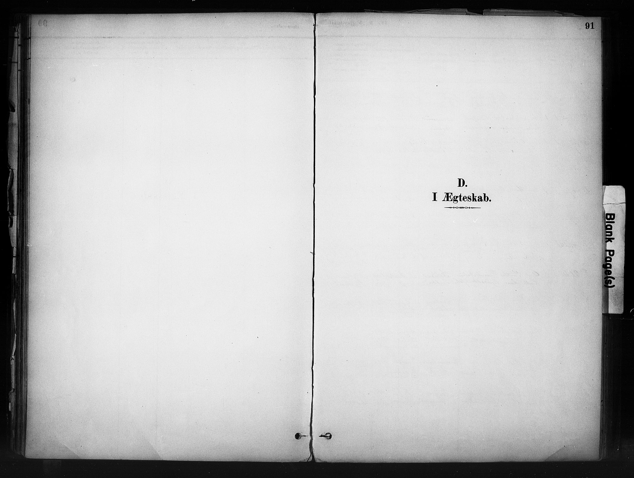 Nord-Aurdal prestekontor, SAH/PREST-132/H/Ha/Haa/L0013: Parish register (official) no. 13, 1883-1895, p. 91