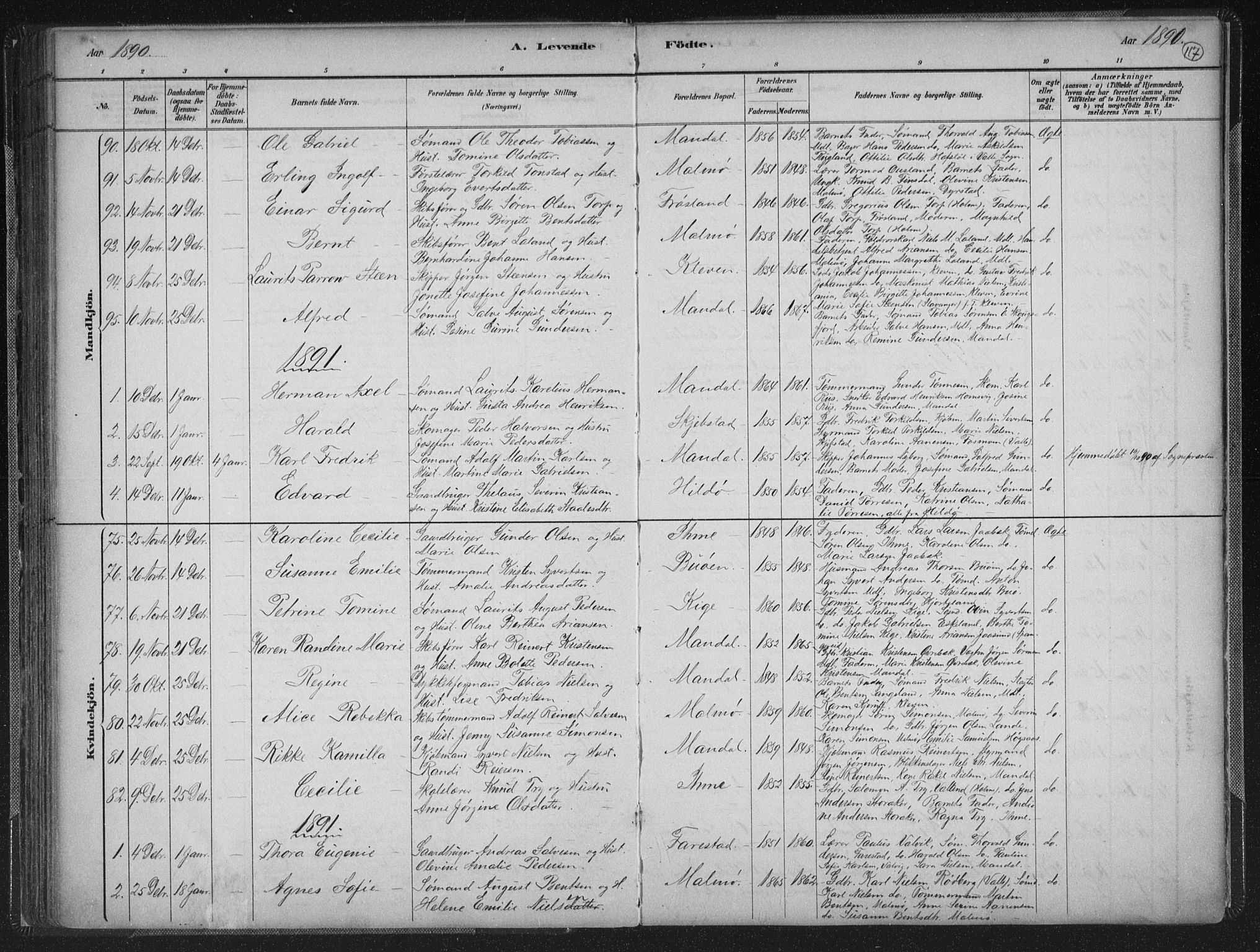 Mandal sokneprestkontor, SAK/1111-0030/F/Fb/Fba/L0011: Parish register (copy) no. B 5, 1880-1898, p. 117