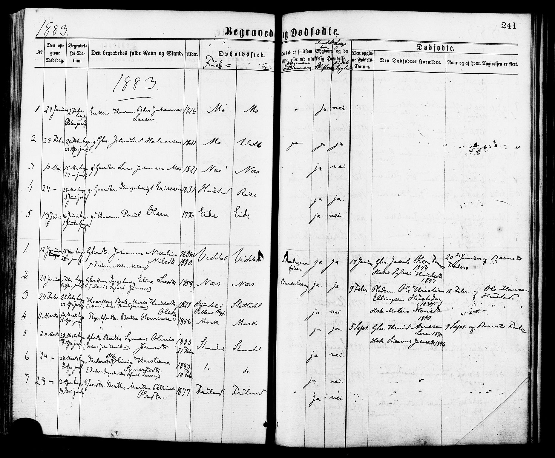 Ministerialprotokoller, klokkerbøker og fødselsregistre - Møre og Romsdal, AV/SAT-A-1454/515/L0210: Parish register (official) no. 515A06, 1868-1885, p. 241