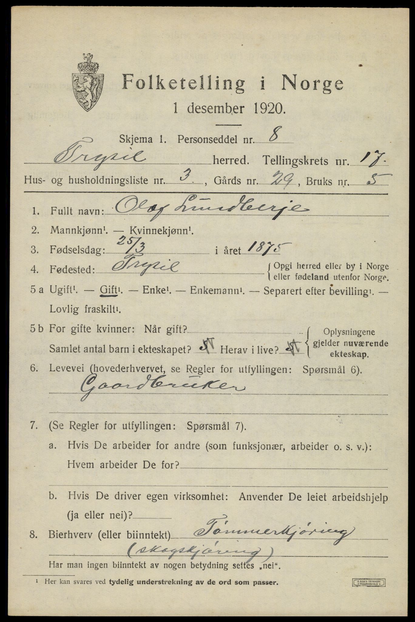 SAH, 1920 census for Trysil, 1920, p. 10215