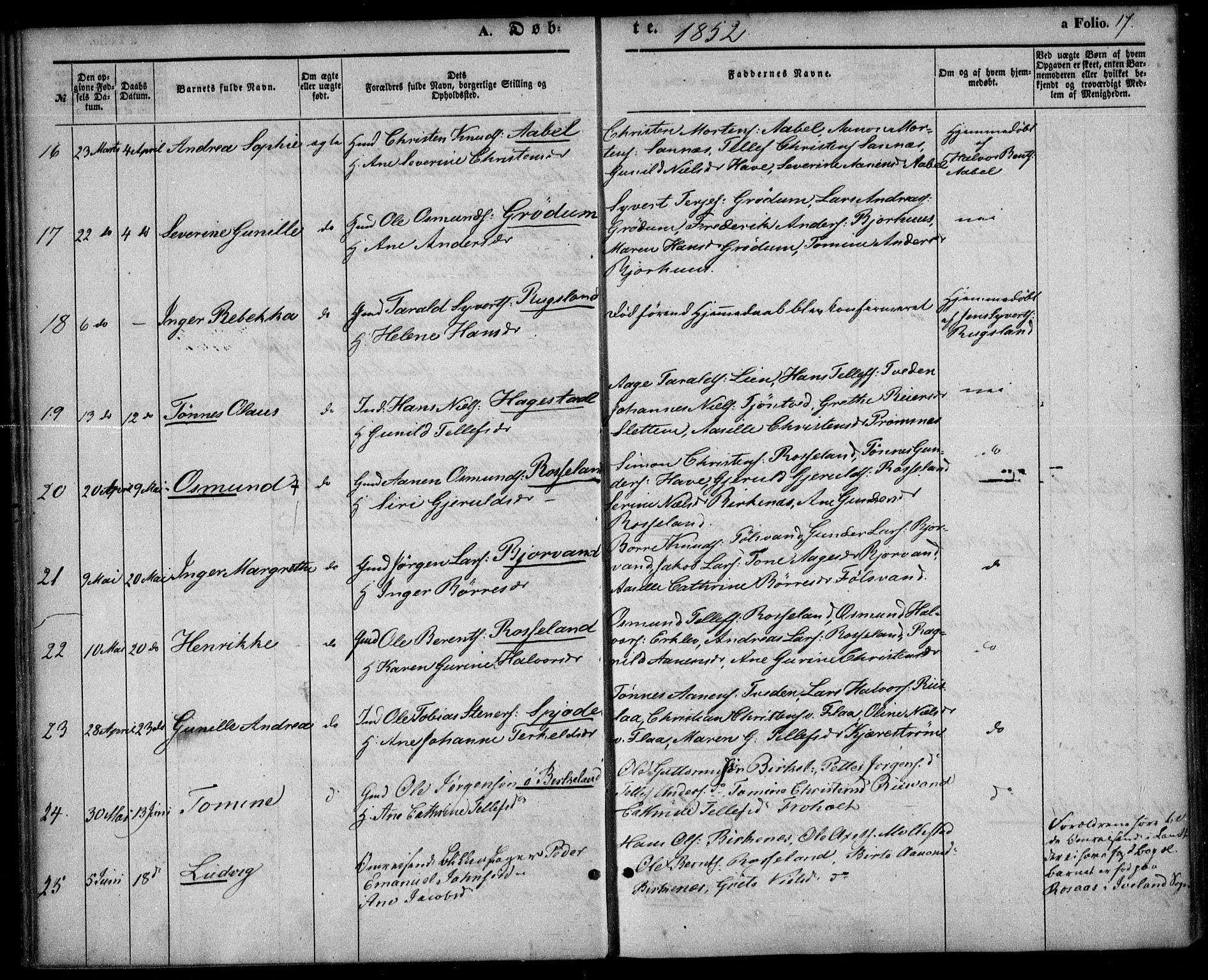 Birkenes sokneprestkontor, AV/SAK-1111-0004/F/Fa/L0003: Parish register (official) no. A 3, 1850-1866, p. 17