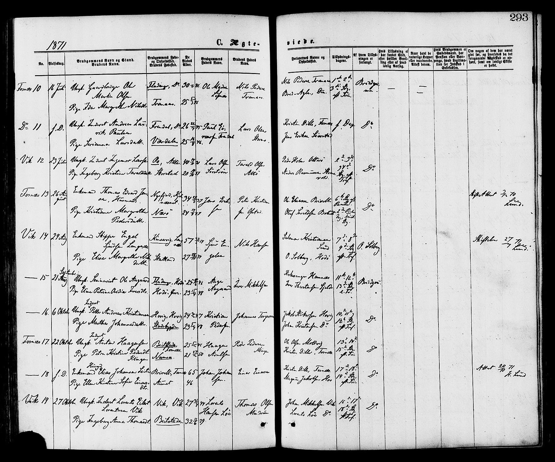 Ministerialprotokoller, klokkerbøker og fødselsregistre - Nord-Trøndelag, AV/SAT-A-1458/773/L0616: Parish register (official) no. 773A07, 1870-1887, p. 293