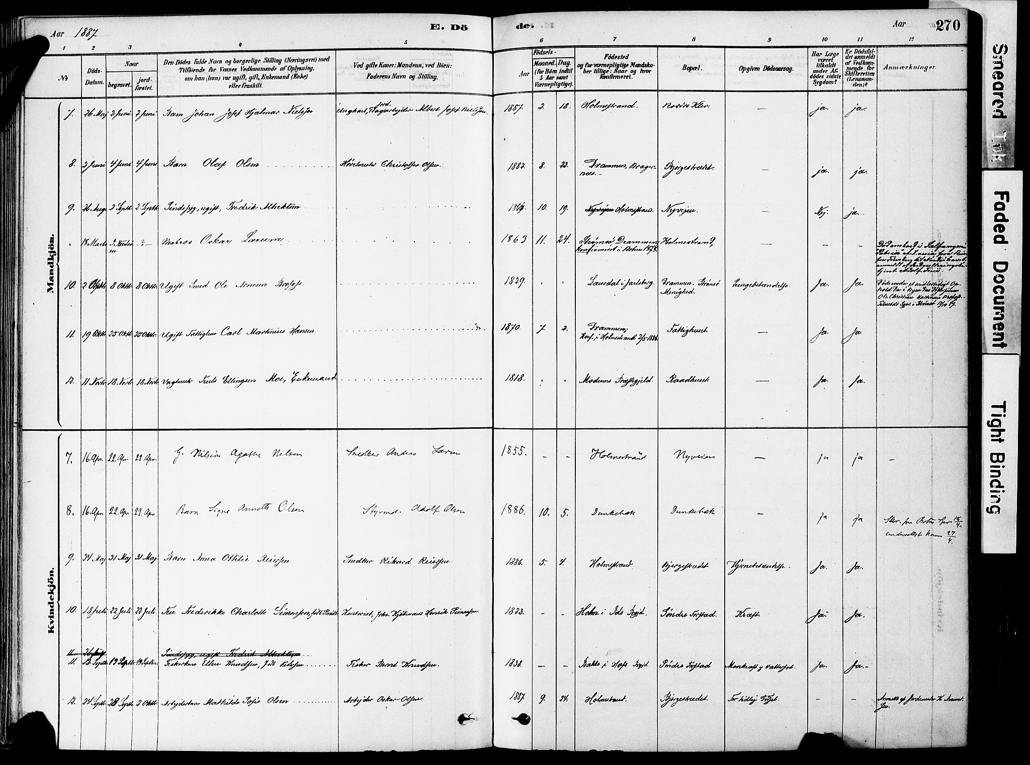 Holmestrand kirkebøker, AV/SAKO-A-346/F/Fa/L0004: Parish register (official) no. 4, 1880-1901, p. 270