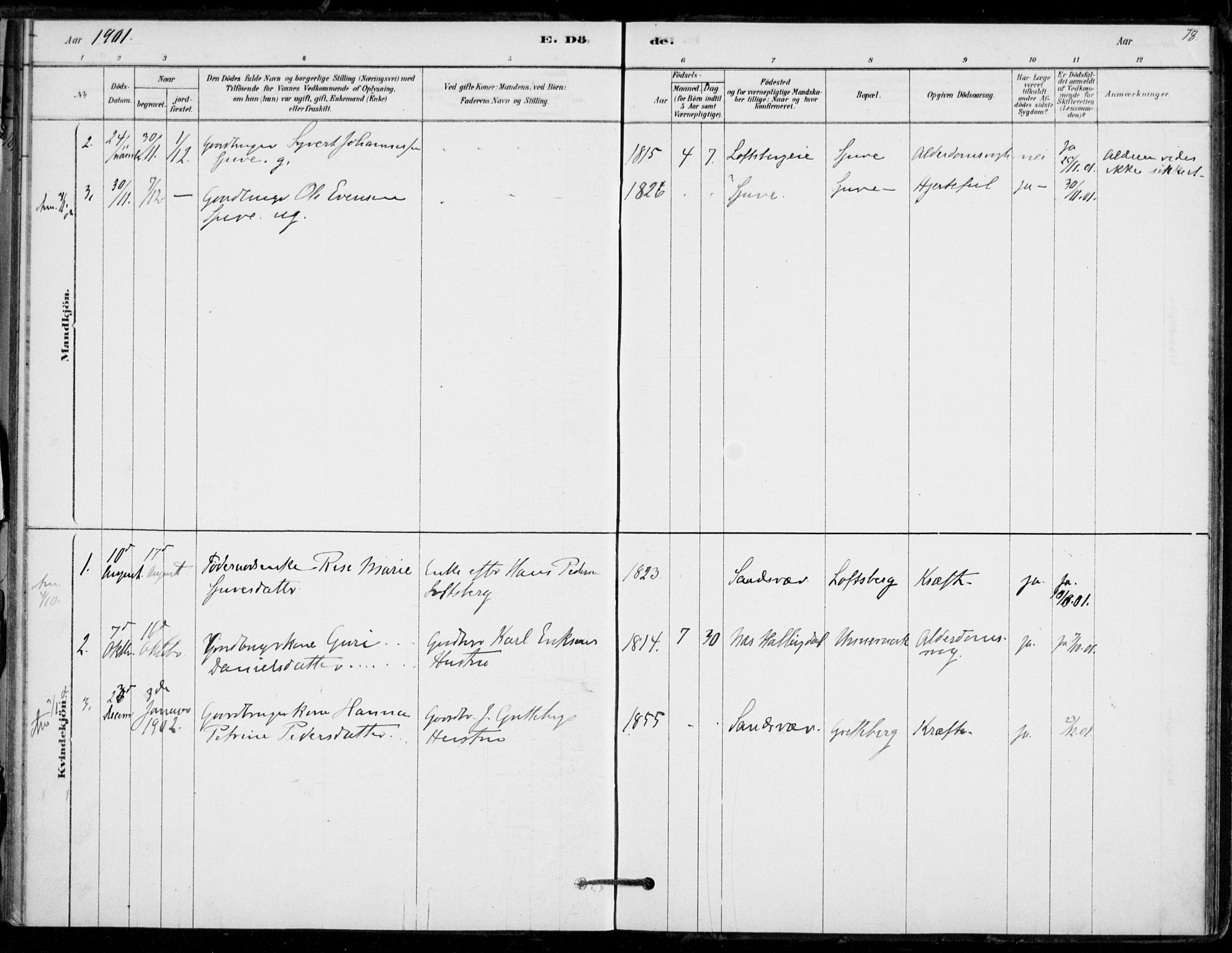 Hof kirkebøker, AV/SAKO-A-64/F/Fb/L0001: Parish register (official) no. II 1, 1878-1907, p. 78