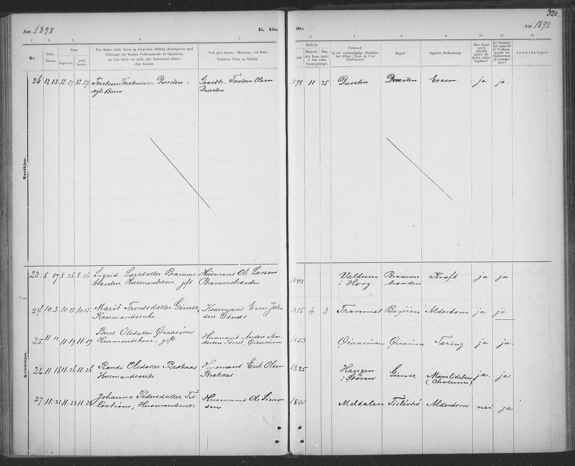 Ministerialprotokoller, klokkerbøker og fødselsregistre - Sør-Trøndelag, AV/SAT-A-1456/691/L1085: Parish register (official) no. 691A17, 1887-1908, p. 320