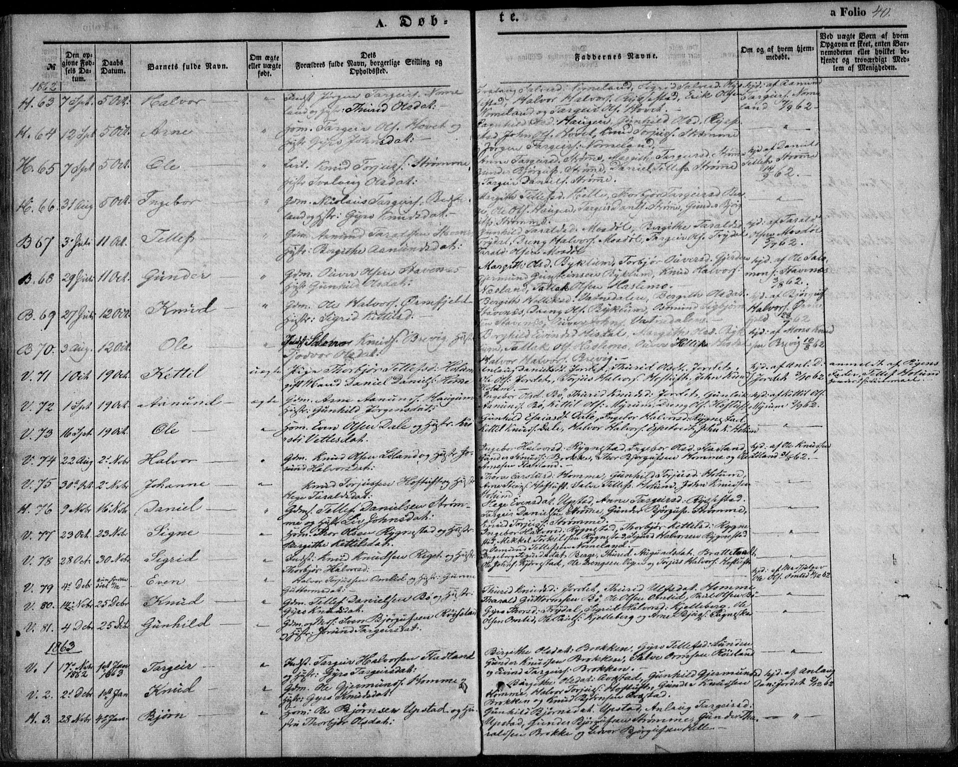 Valle sokneprestkontor, SAK/1111-0044/F/Fa/Fac/L0007: Parish register (official) no. A 7, 1854-1868, p. 40