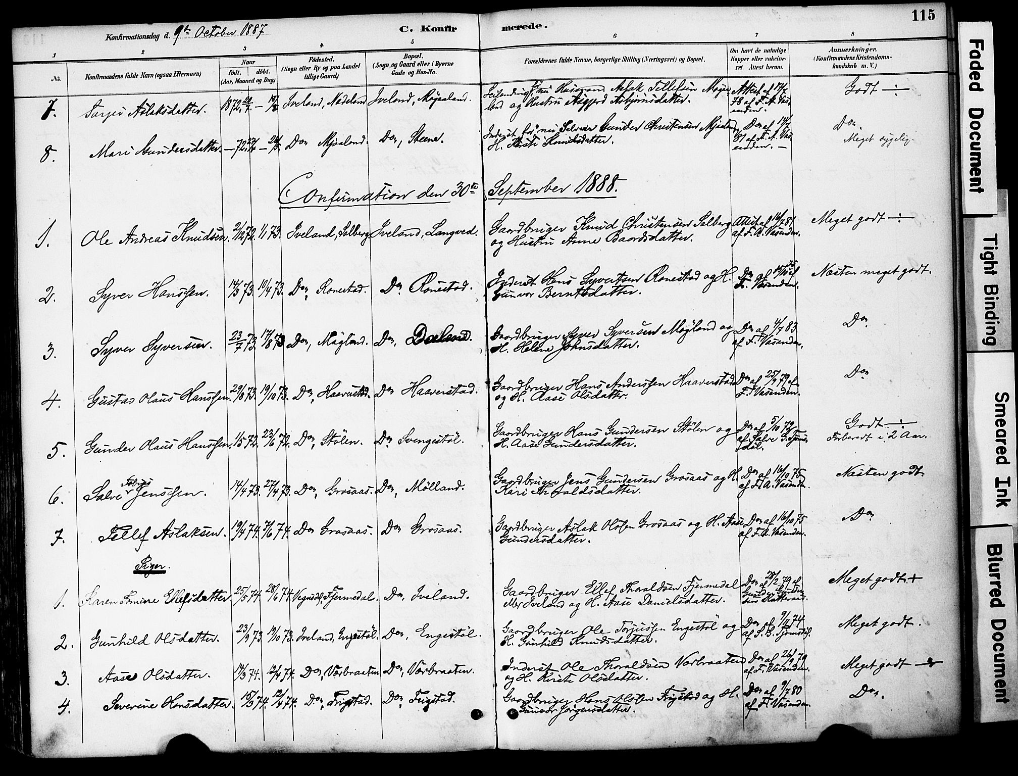 Evje sokneprestkontor, AV/SAK-1111-0008/F/Fa/Fac/L0003: Parish register (official) no. A 3, 1884-1909, p. 115